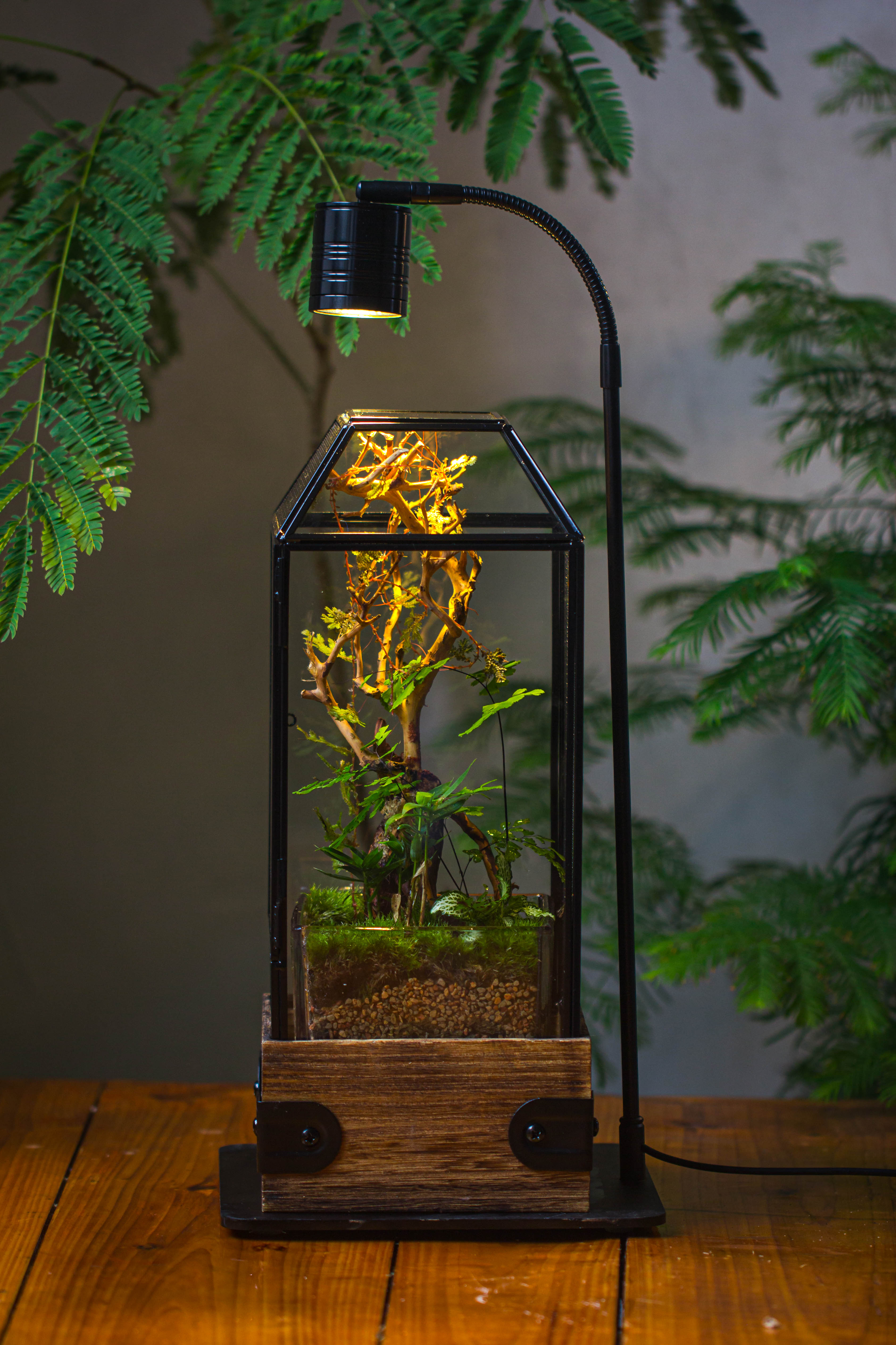 Handmade Glass Terrarium with Wood Base, Geometric Jumping Spider Enclosure, with Mesh Vent, for Plants, Snail, Insects - NCYPgarden