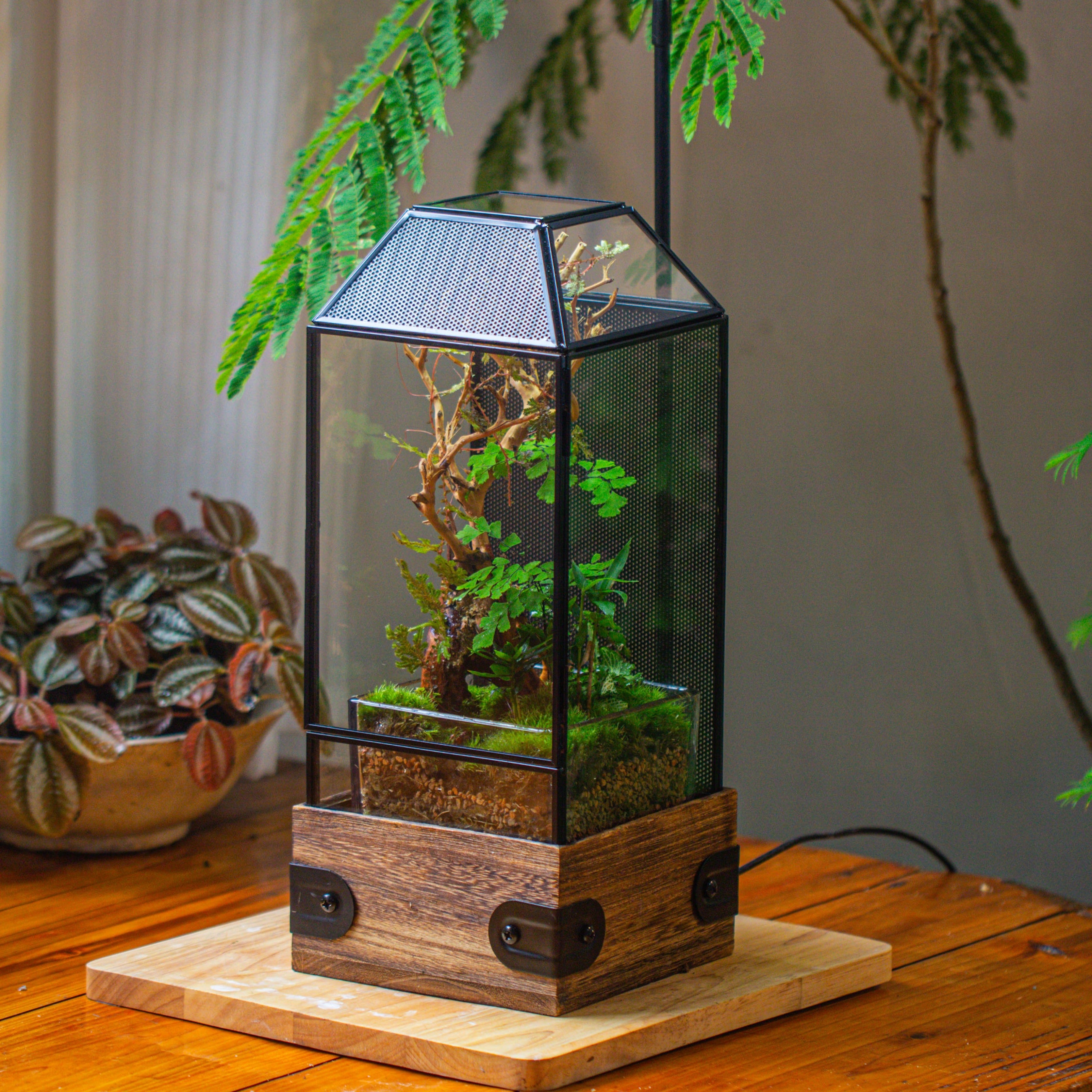 Handmade Glass Terrarium with Wood Base, Geometric Jumping Spider Enclosure, with Mesh Vent, for Plants, Snail, Insects - NCYPgarden