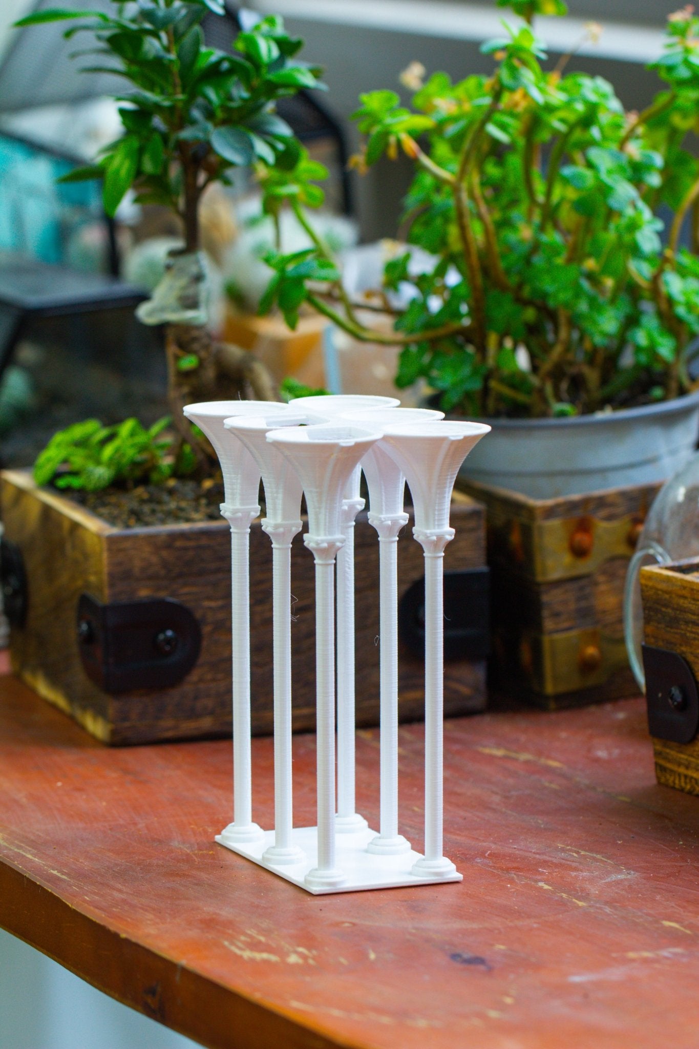 Castle Pillar Mini Climbing Support Set for Ficus pumila ‘Quercifolia’, for terrarium - NCYPgarden
