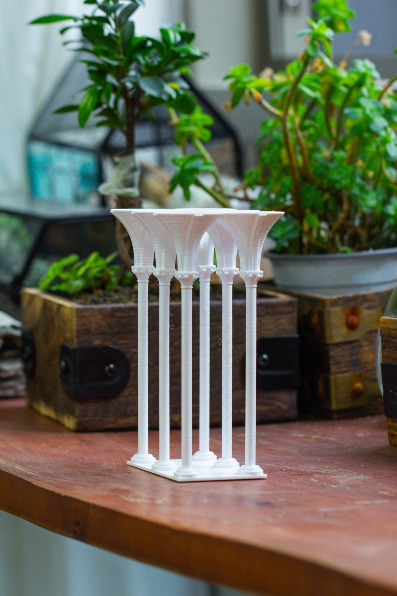 Castle Pillar Mini Climbing Support Set for Ficus pumila ‘Quercifolia’, for terrarium - NCYPgarden