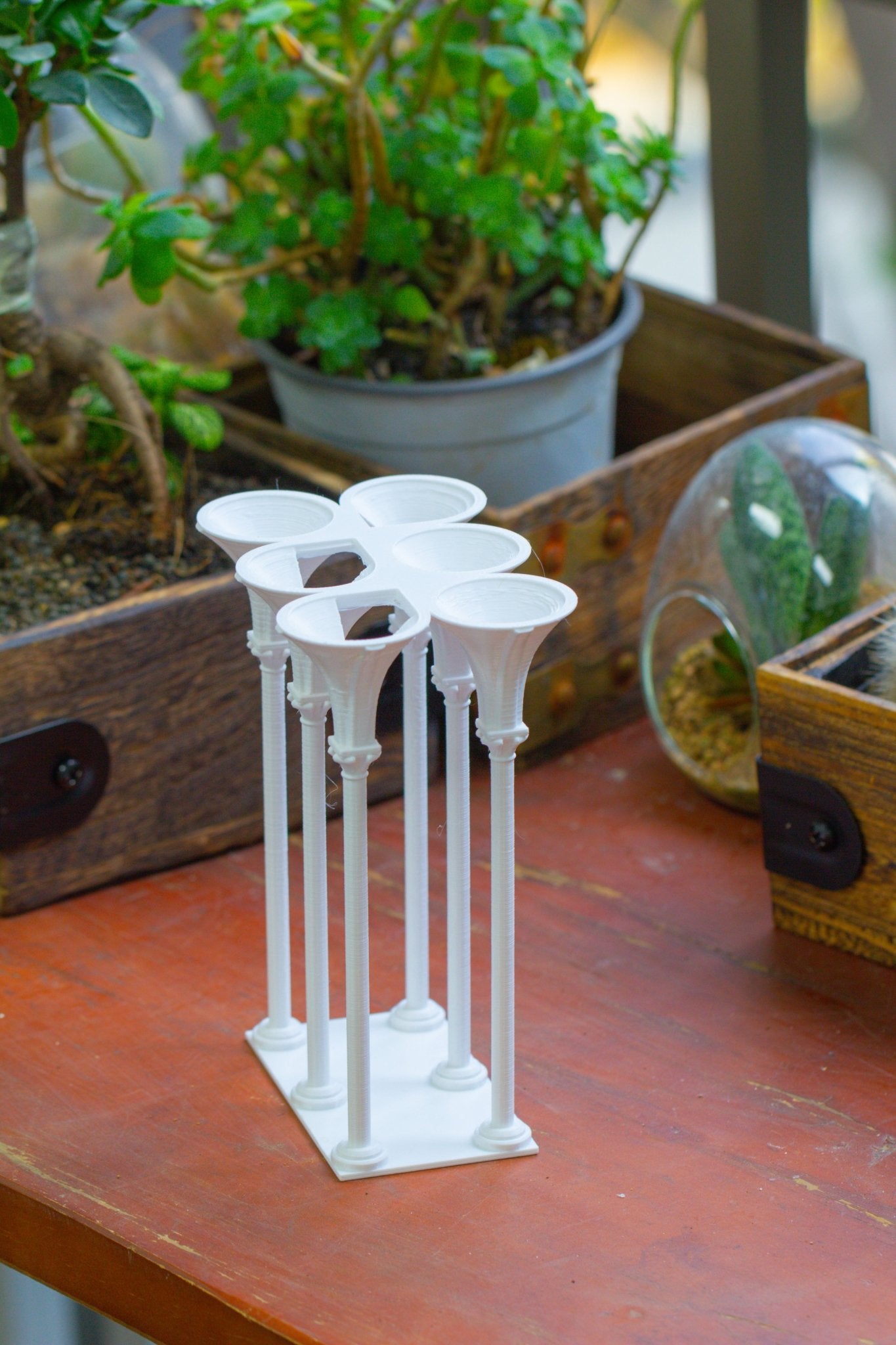 Castle Pillar Mini Climbing Support Set for Ficus pumila ‘Quercifolia’, for terrarium - NCYPgarden
