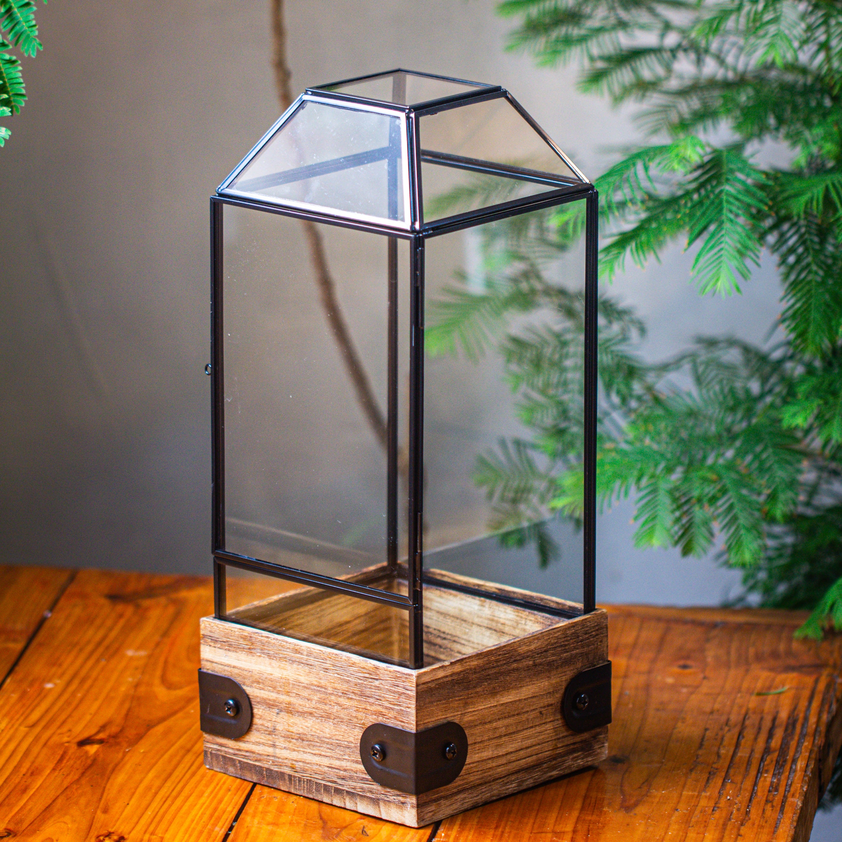 Handmade Glass Terrarium with Wood Base, Geometric  Planter with Door, with LED Acrylic Lamp Base for Plants, Moss Landscapes, Plant Lover Gift - NCYPgarden