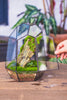 NCYP Close Geometric Glass Terrarium with Door, Tin Sealed Irregular Tall Planter for moss Flower Pot - NCYPgarden