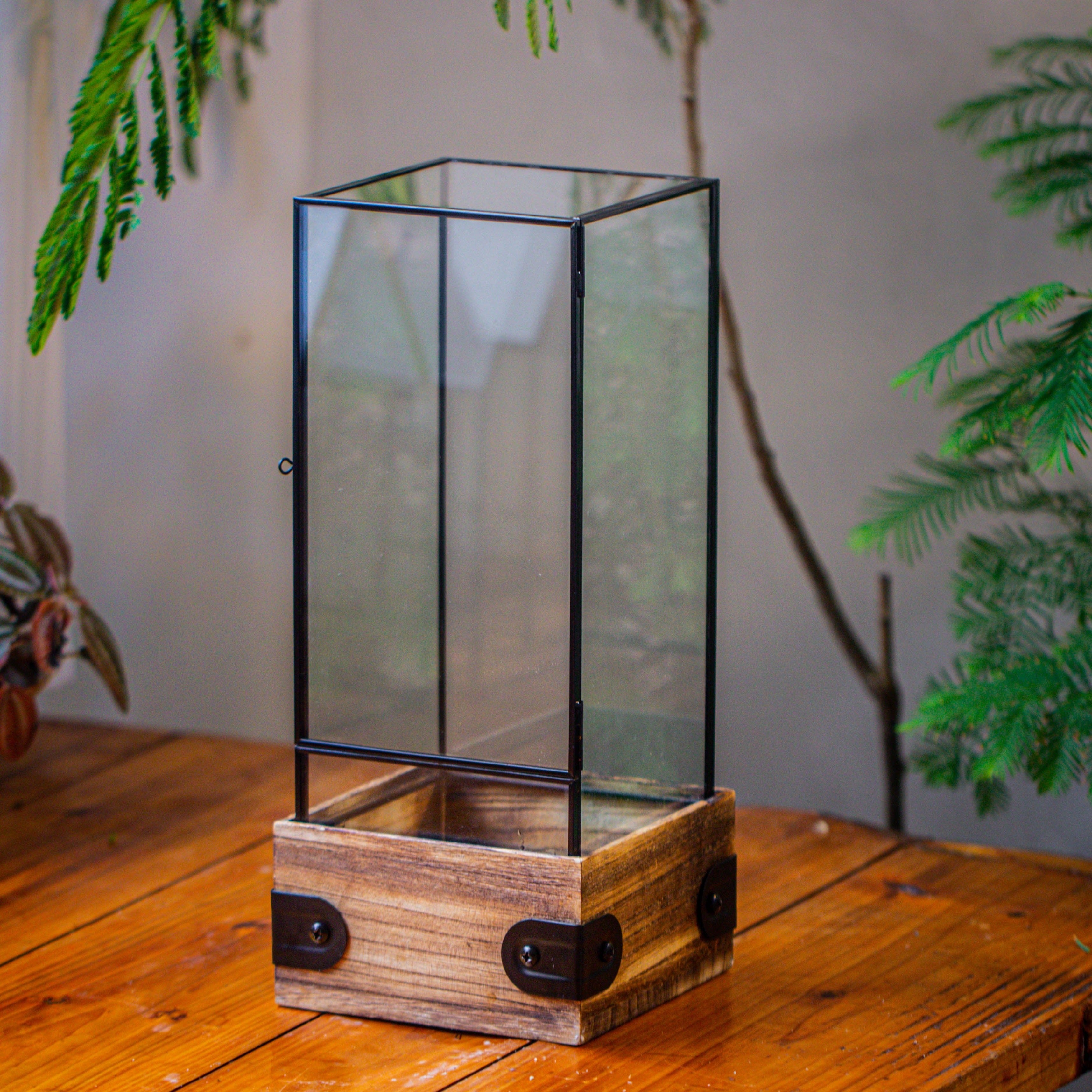Handmade Glass Terrarium with Wood Base, Rectangular Planter with Door ...