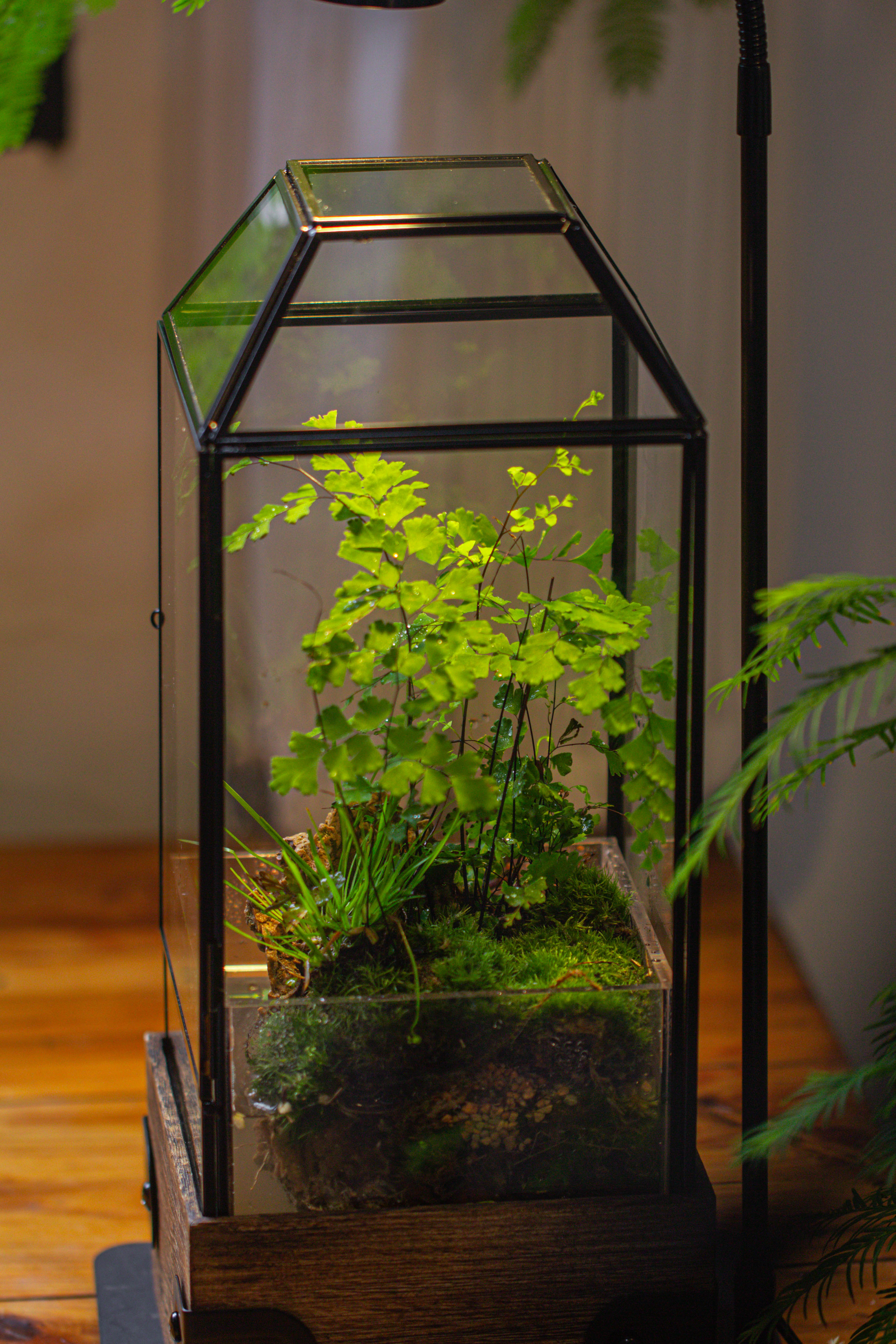 Handmade Glass Terrarium with Wood Base, Geometric  Planter with Door, with LED Acrylic Lamp Base for Plants, Moss Landscapes, Plant Lover Gift - NCYPgarden