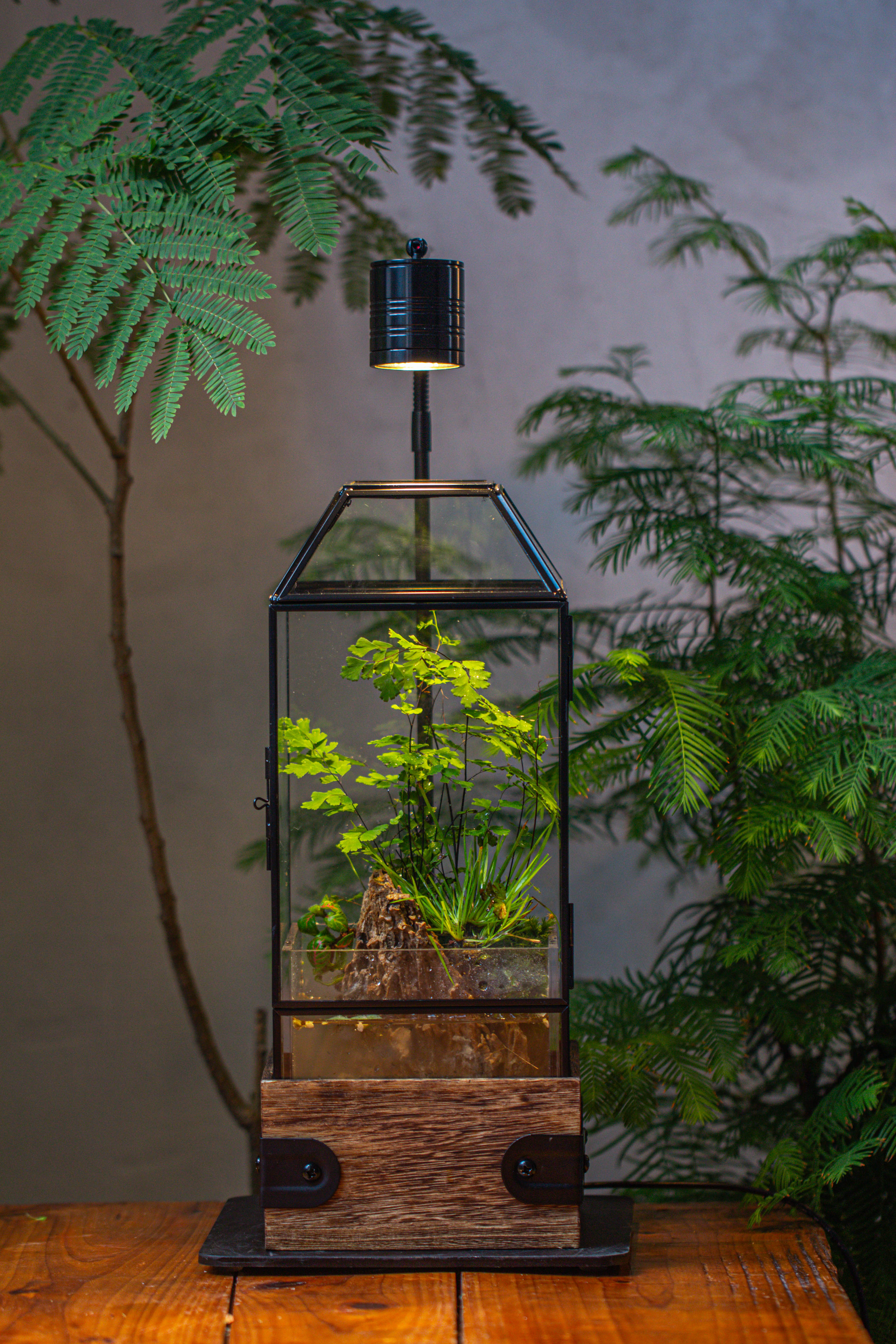 Handmade Glass Terrarium with Wood Base, Geometric  Planter with Door, with LED Acrylic Lamp Base for Plants, Moss Landscapes, Plant Lover Gift - NCYPgarden