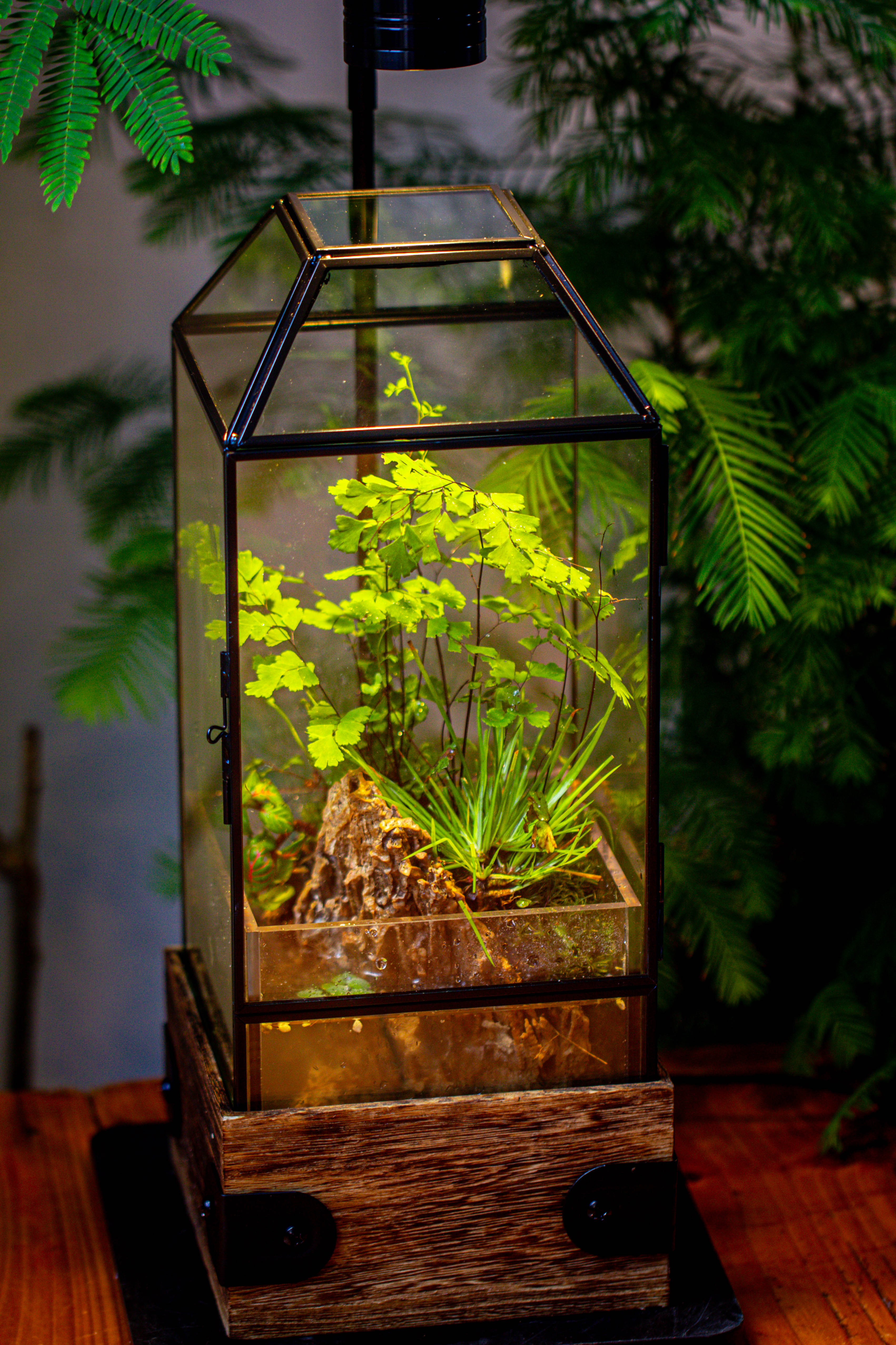 Handmade Glass Terrarium with Wood Base, Geometric  Planter with Door, with LED Acrylic Lamp Base for Plants, Moss Landscapes, Plant Lover Gift - NCYPgarden