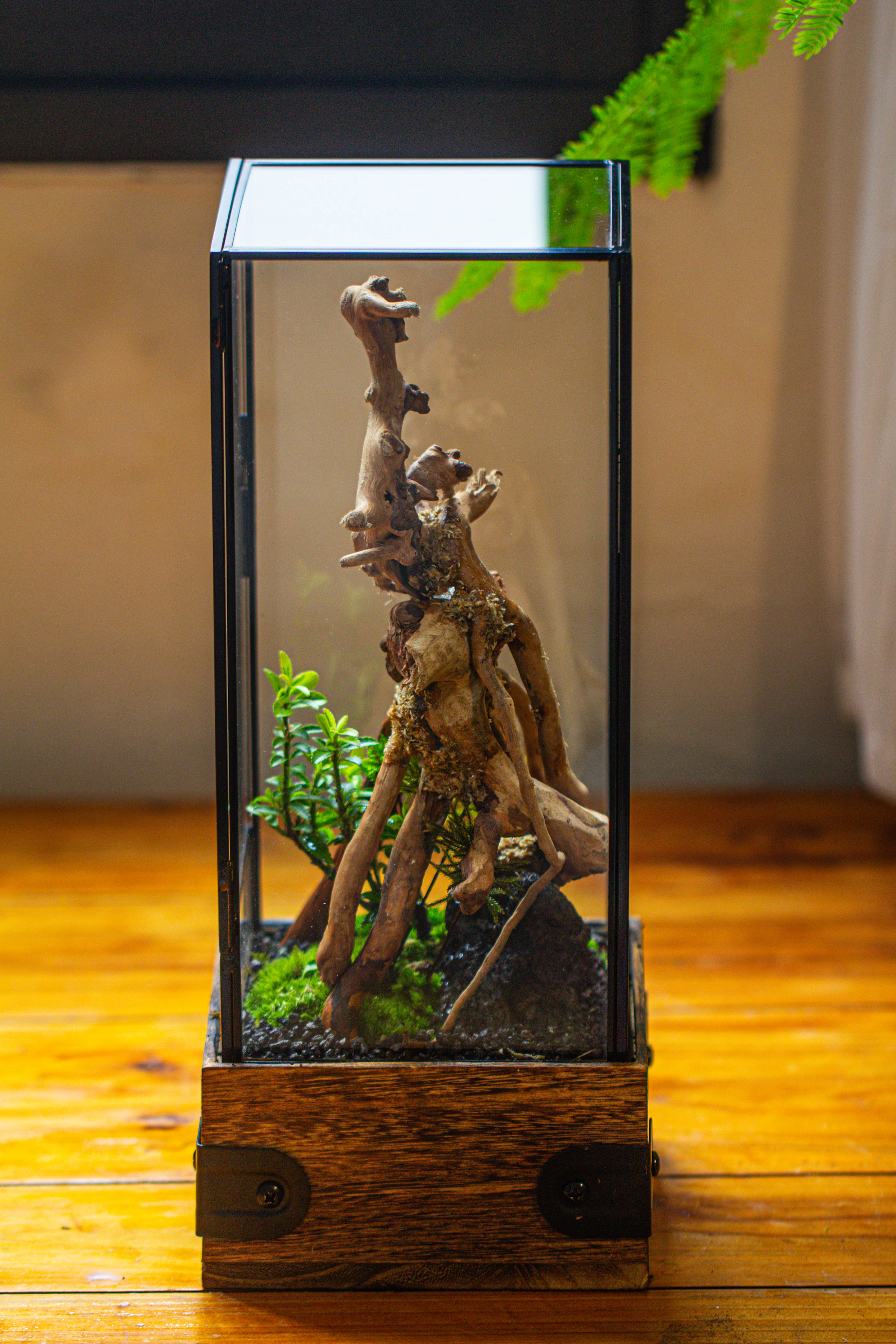 Handmade Glass Terrarium with Wood Base, Rectangular Planter with Door, with LED Acrylic Lamp Base for Plants, Moss Landscapes, Plant Lover Gift - NCYPgarden