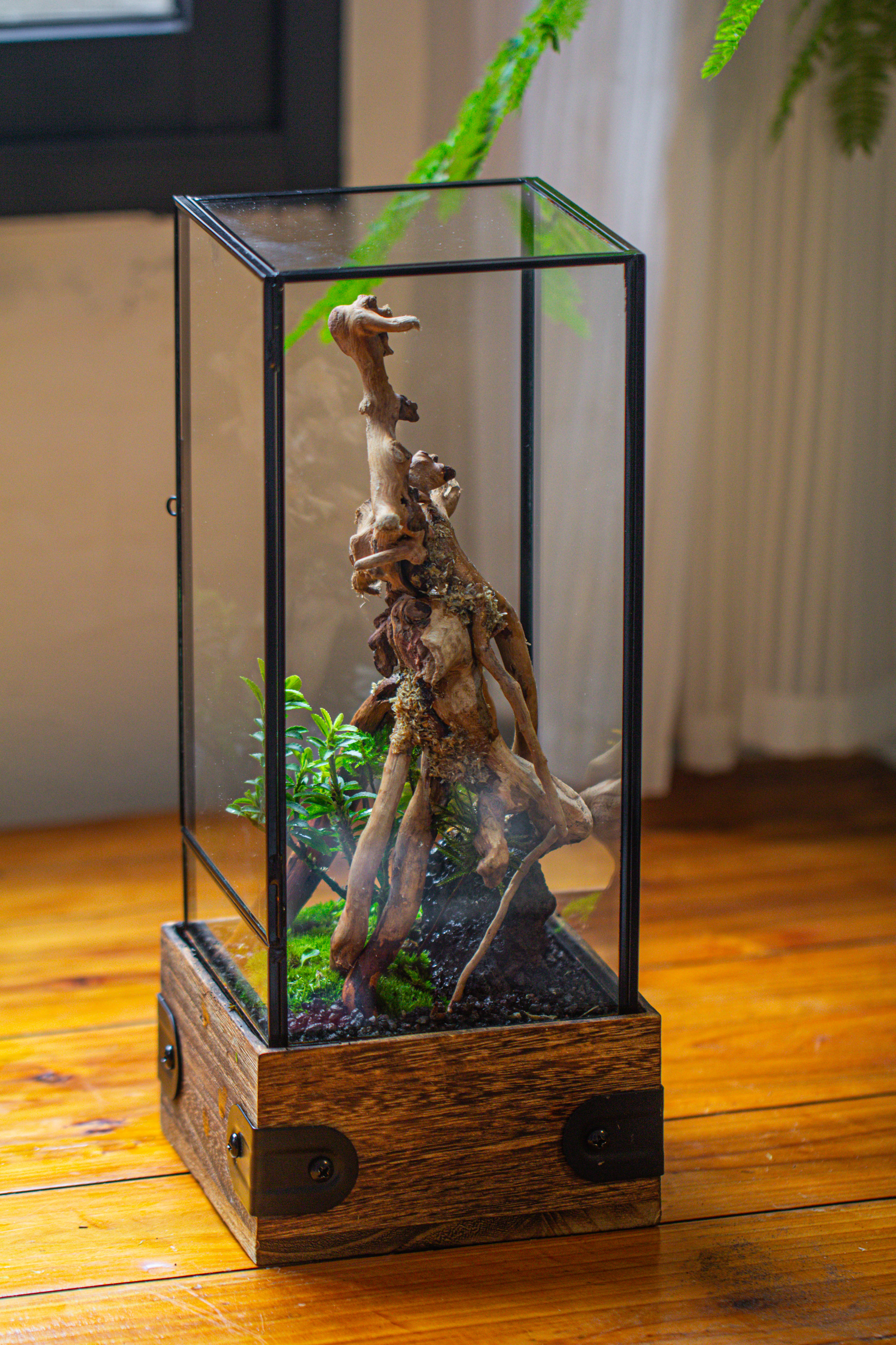 Handmade Glass Terrarium with Wood Base, Rectangular Planter with Door, with LED Acrylic Lamp Base for Plants, Moss Landscapes, Plant Lover Gift - NCYPgarden