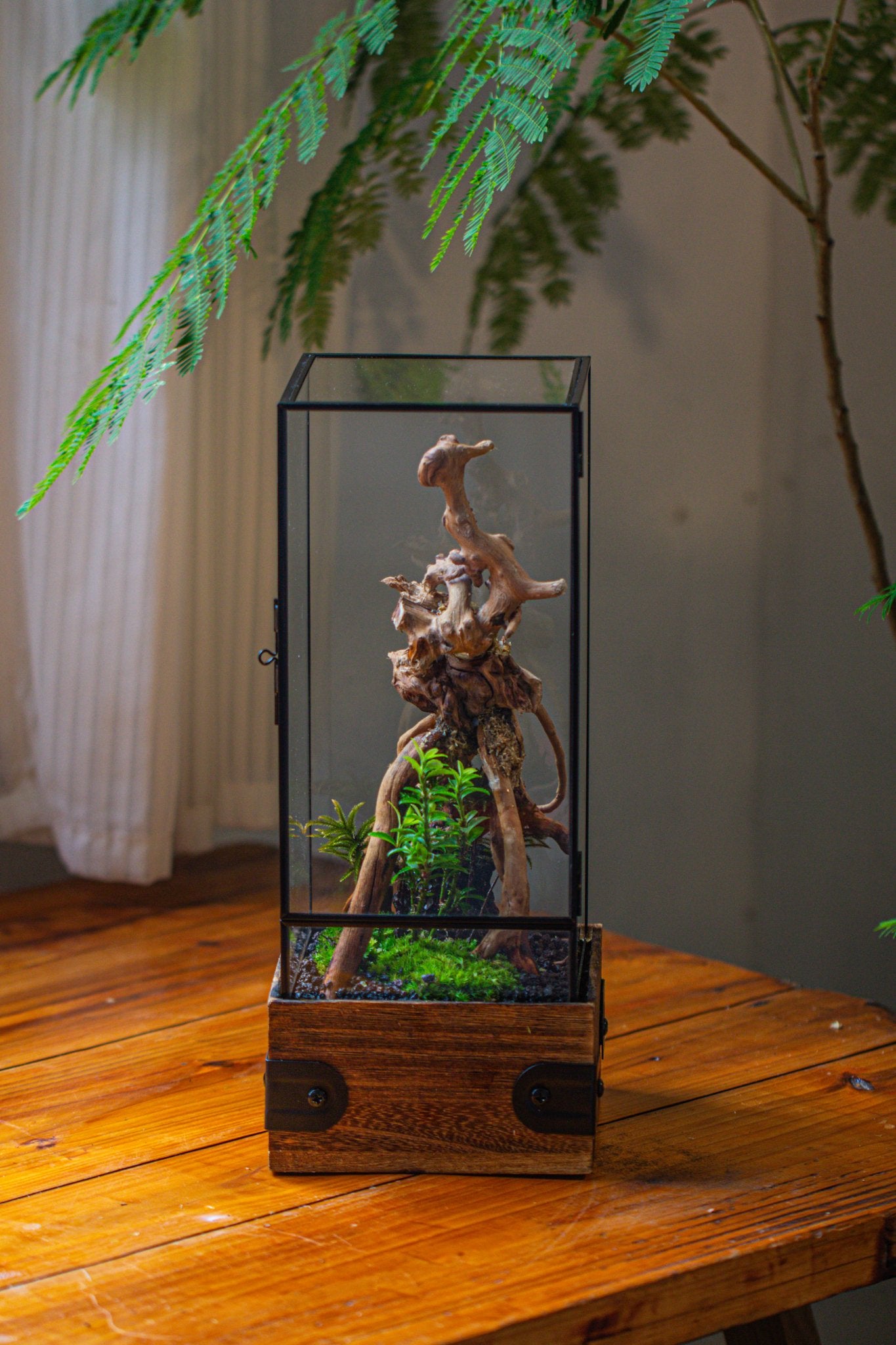 large terrarium planter Handmade Glass Terrarium with Wood Base, Rectangular Planter with Door, with LED Wood Lamp Base for Plants, Moss Landscapes, Plant Lover Gift