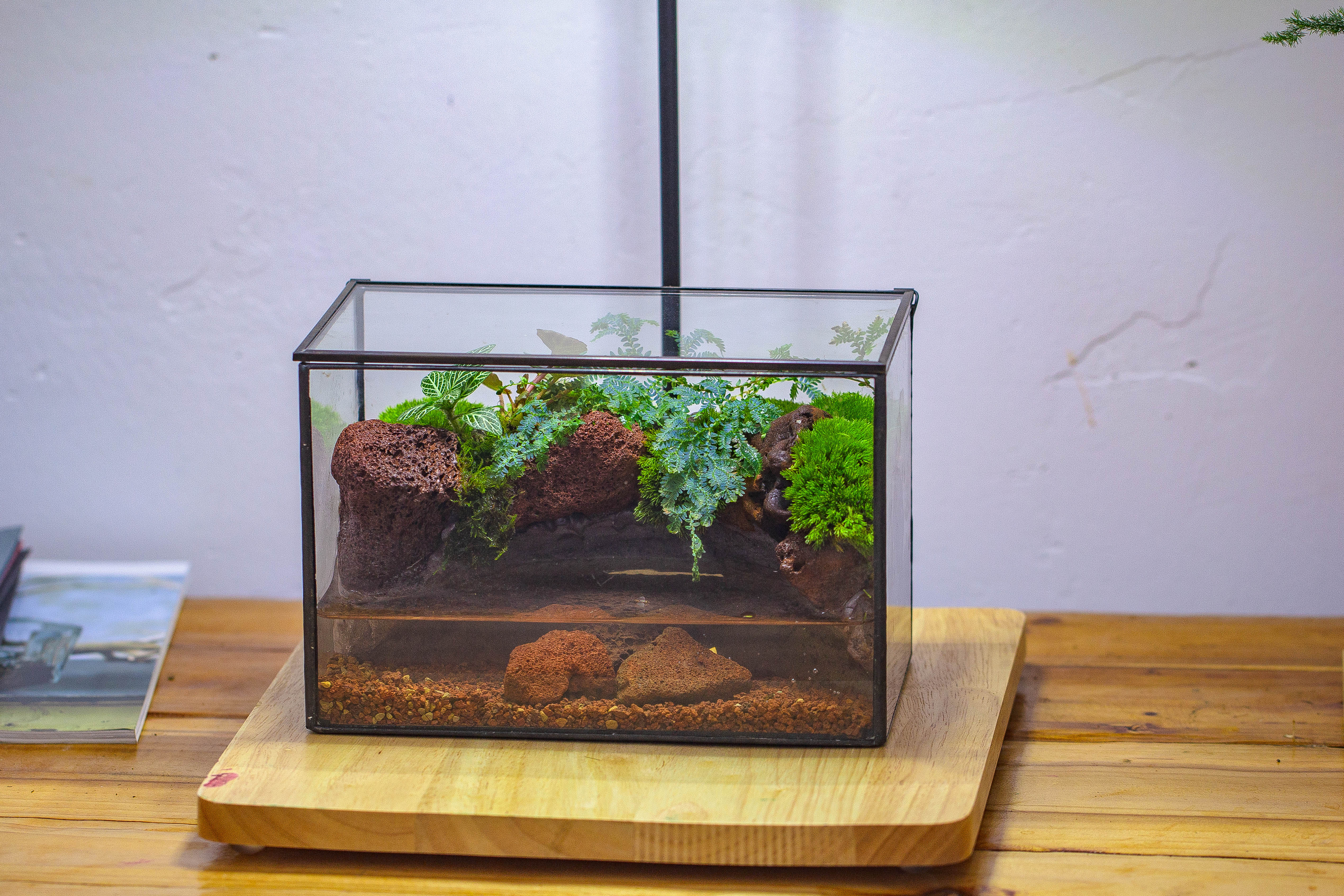 NCYP Watertight Close Rectangle Geometric Glass Tin Terrarium, for small waterpond, moss landscape, Live Miniature, water pond, landscape - NCYPgarden