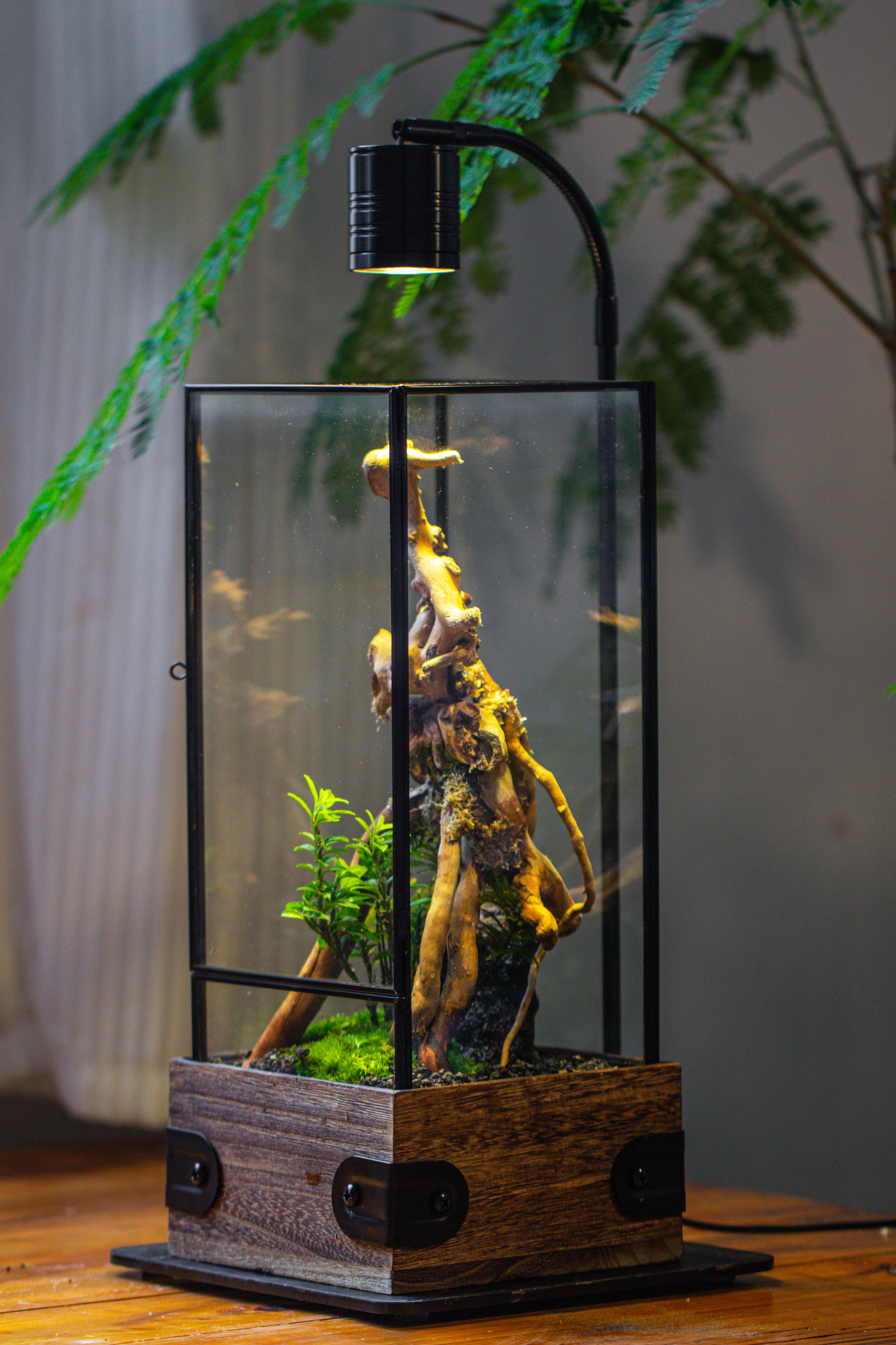 Handmade Glass Terrarium with Wood Base, Rectangular Planter with Door, with LED Acrylic Lamp Base for Plants, Moss Landscapes, Plant Lover Gift - NCYPgarden