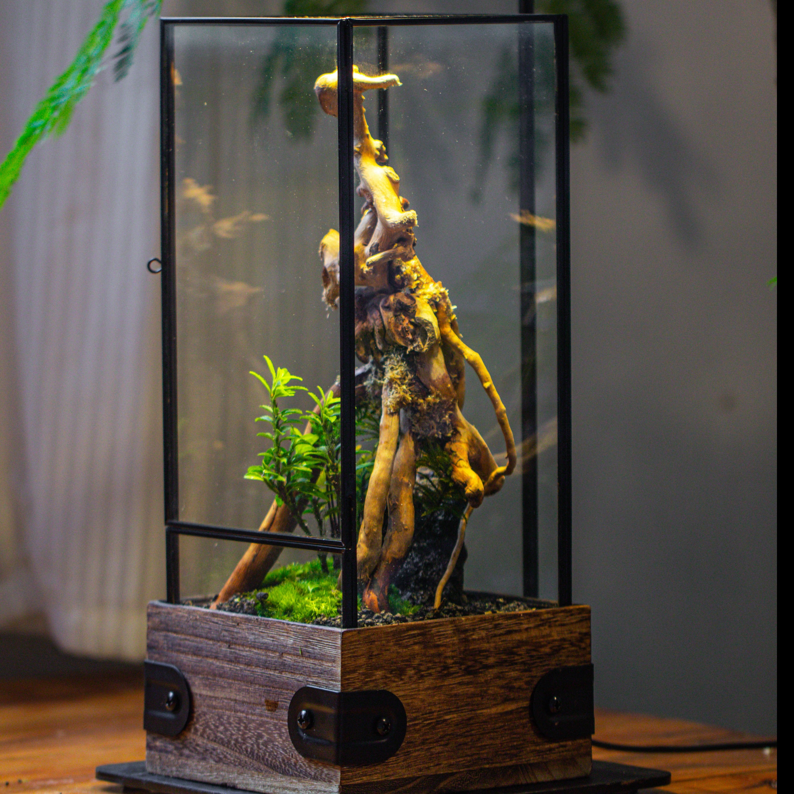 Handmade Glass Terrarium with Wood Base, Rectangular Planter with Door, with LED Acrylic Lamp Base for Plants, Moss Landscapes, Plant Lover Gift - NCYPgarden