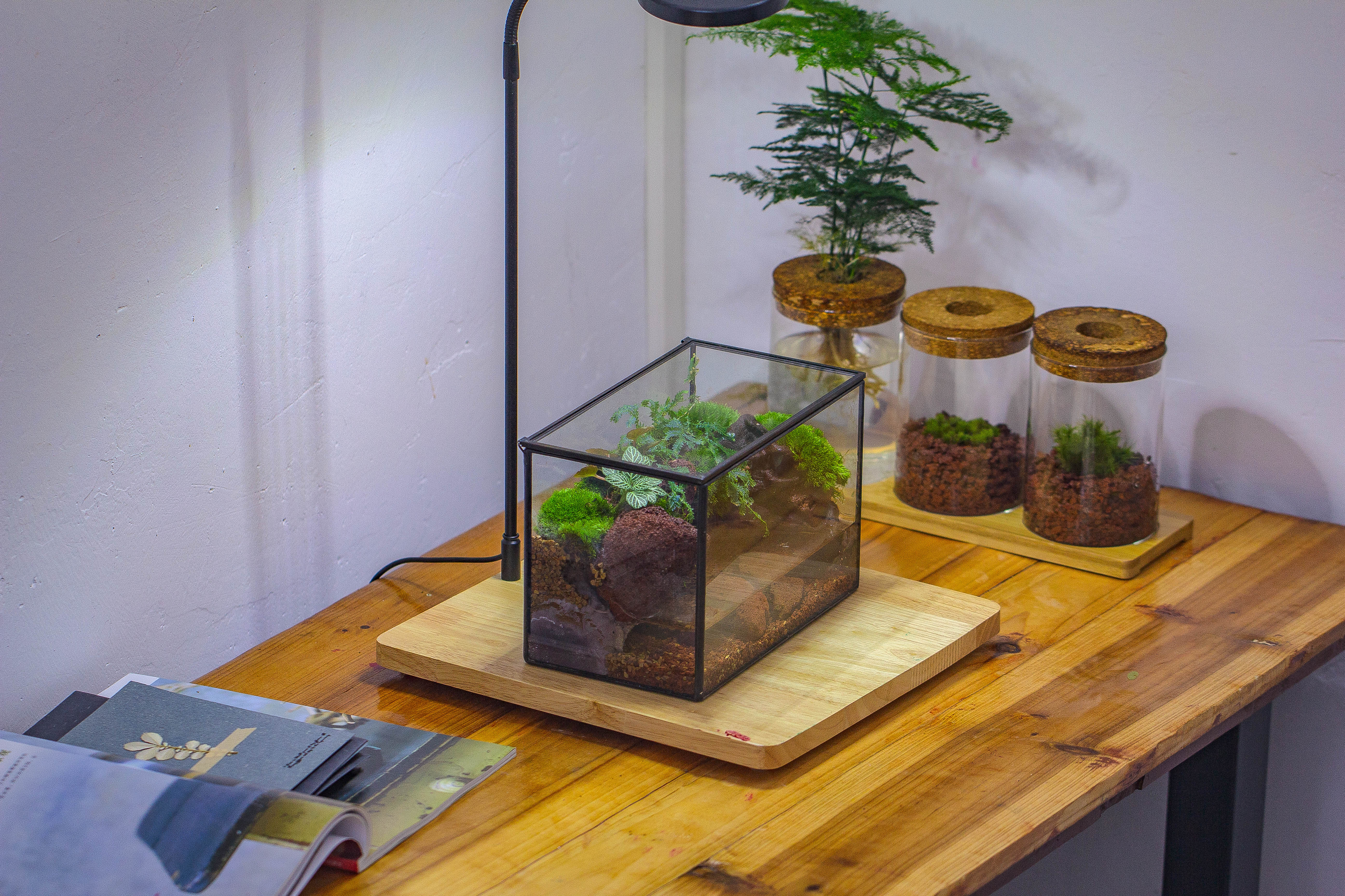 NCYP Watertight Close Rectangle Geometric Glass Tin Terrarium, for small waterpond, moss landscape, Live Miniature, water pond, landscape - NCYPgarden