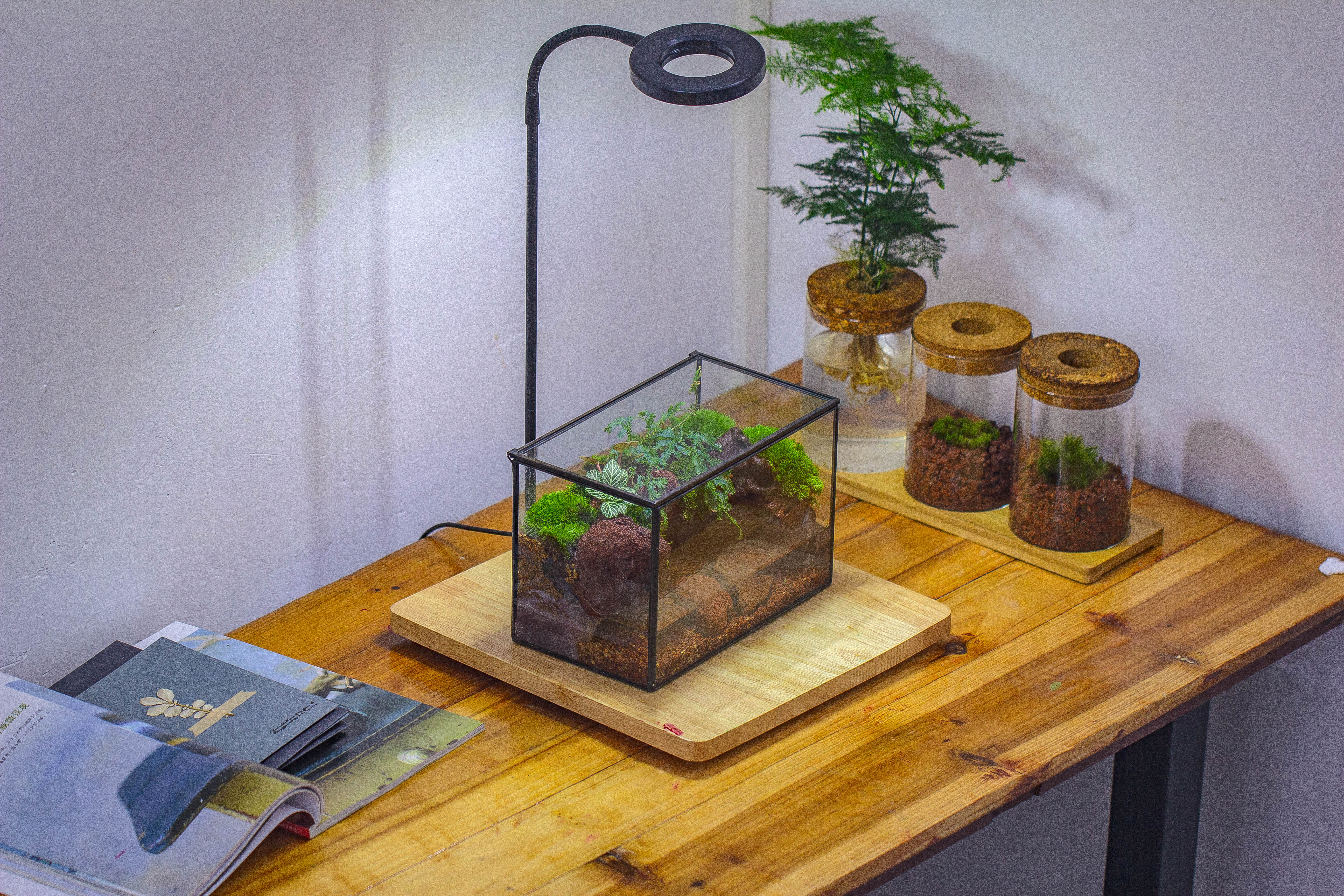 NCYP Watertight Close Rectangle Geometric Glass Tin Terrarium, for small waterpond, moss landscape, Live Miniature, water pond, landscape - NCYPgarden