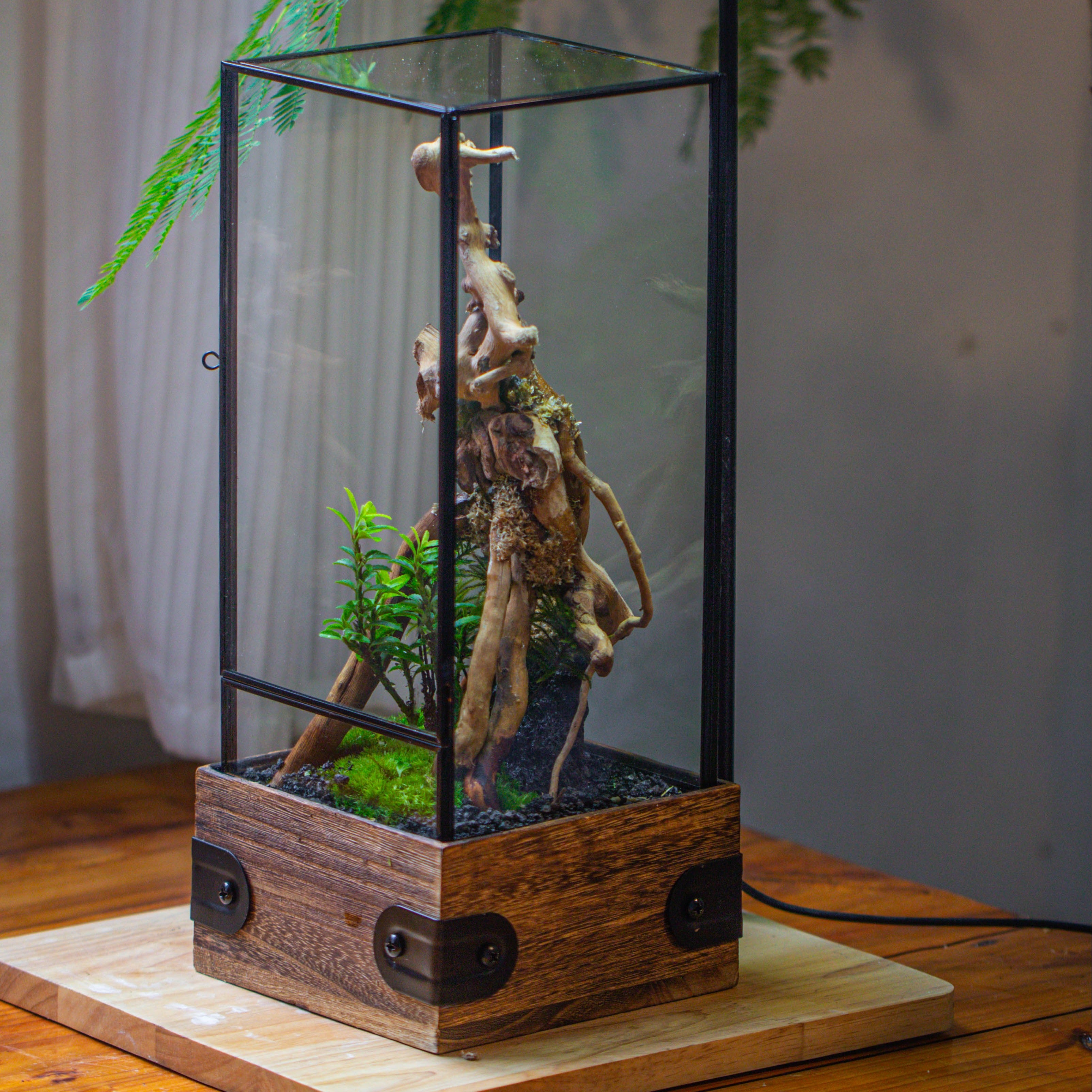 Handmade Glass Terrarium with Wood Base, Rectangular Planter with Door, with LED Acrylic Lamp Base for Plants, Moss Landscapes, Plant Lover Gift - NCYPgarden