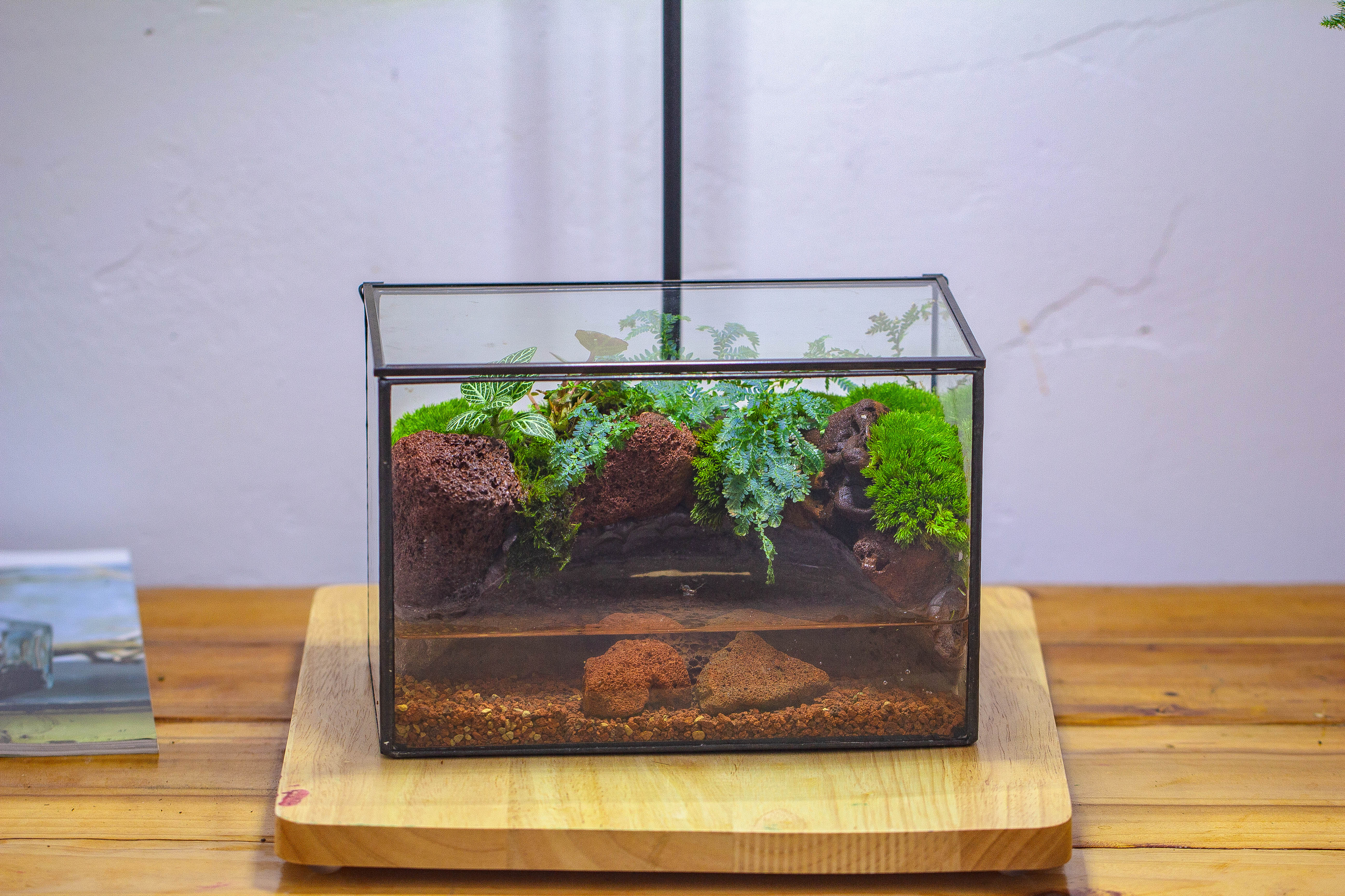 NCYP Watertight Close Rectangle Geometric Glass Tin Terrarium, for small waterpond, moss landscape, Live Miniature, water pond, landscape - NCYPgarden