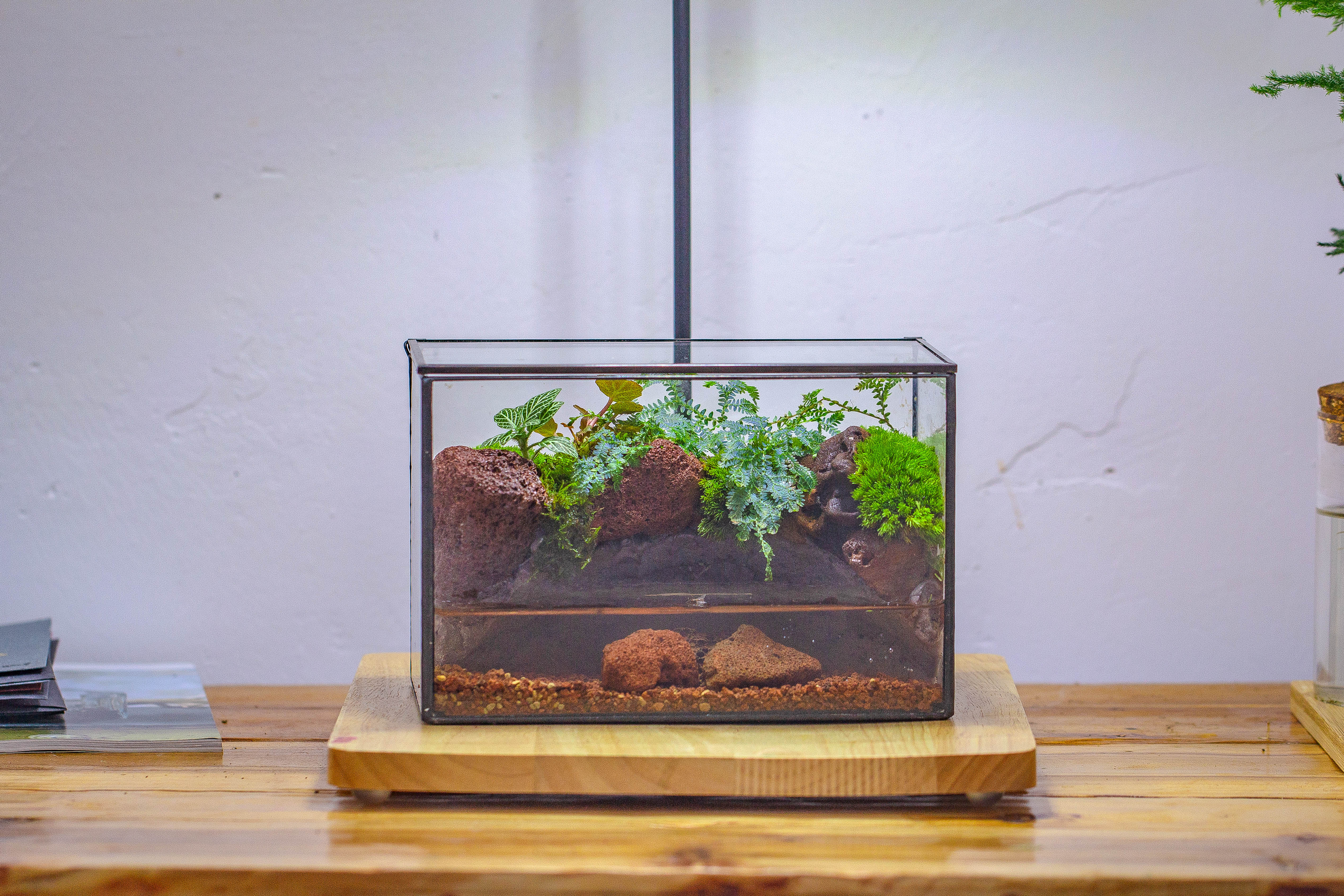 NCYP Watertight Close Rectangle Geometric Glass Tin Terrarium, for small waterpond, moss landscape, Live Miniature, water pond, landscape - NCYPgarden