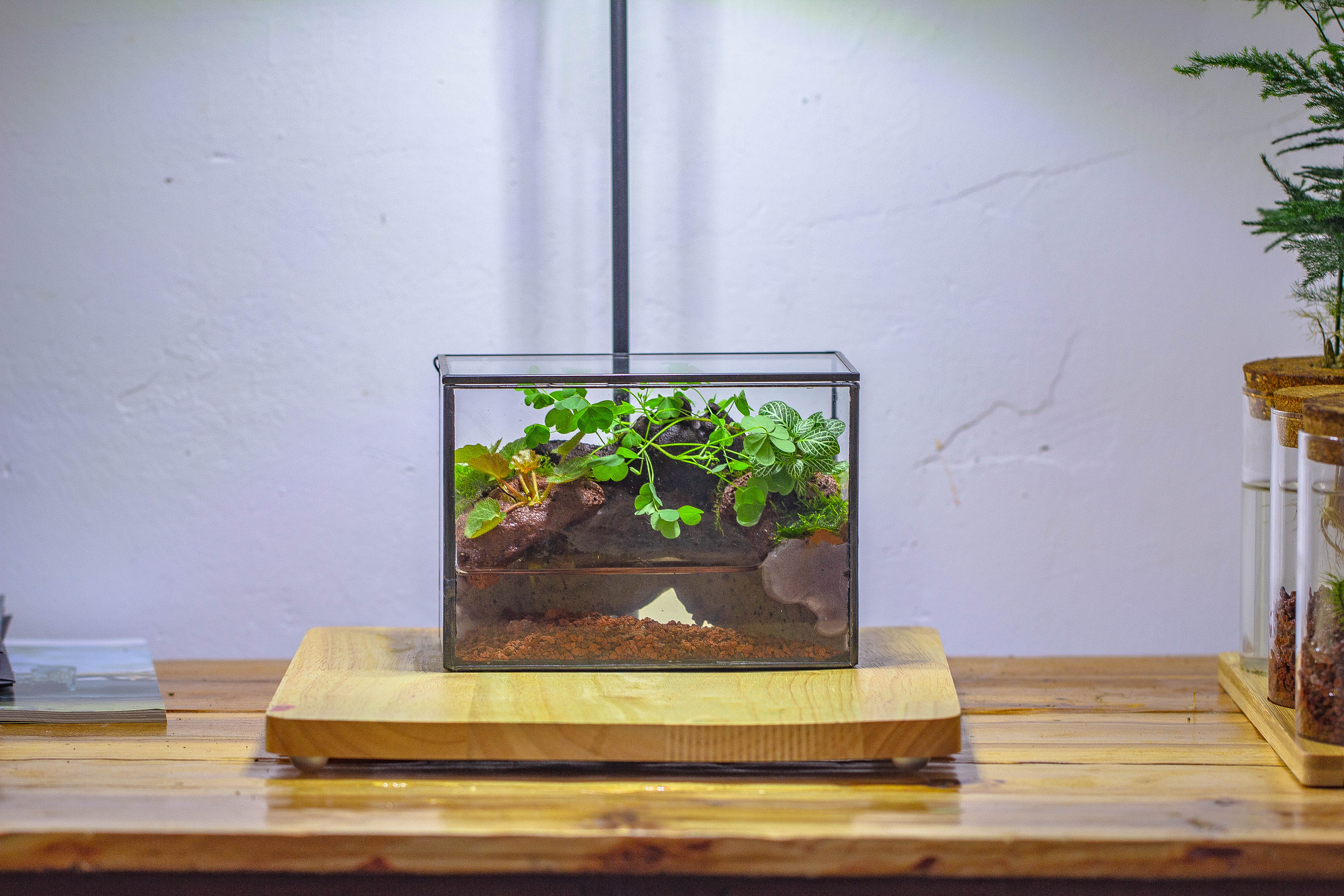NCYP Watertight Close Small Rectangle Geometric Glass Tin Terrarium, for small waterpond, moss landscape, Live Miniature, water pond - NCYPgarden