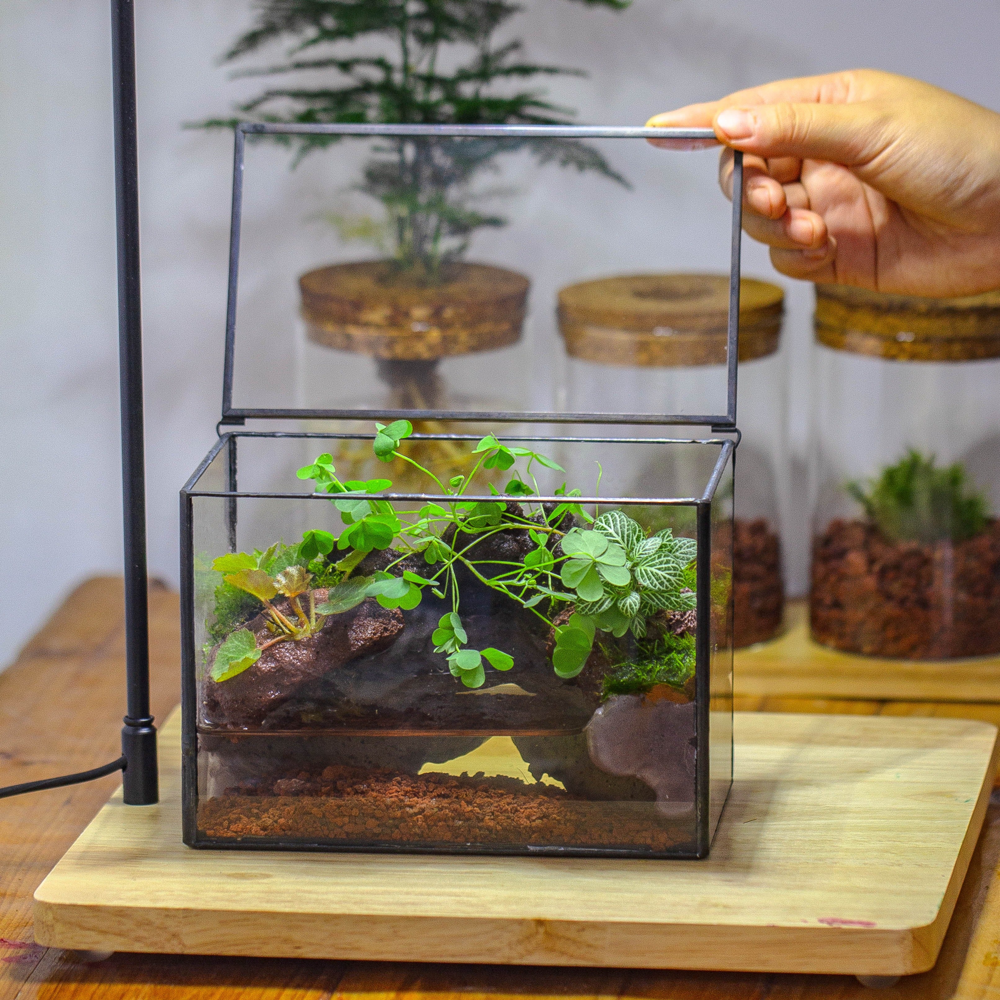 NCYP Watertight Close Small Rectangle Geometric Glass Tin Terrarium, for small waterpond, moss landscape, Live Miniature, water pond - NCYPgarden