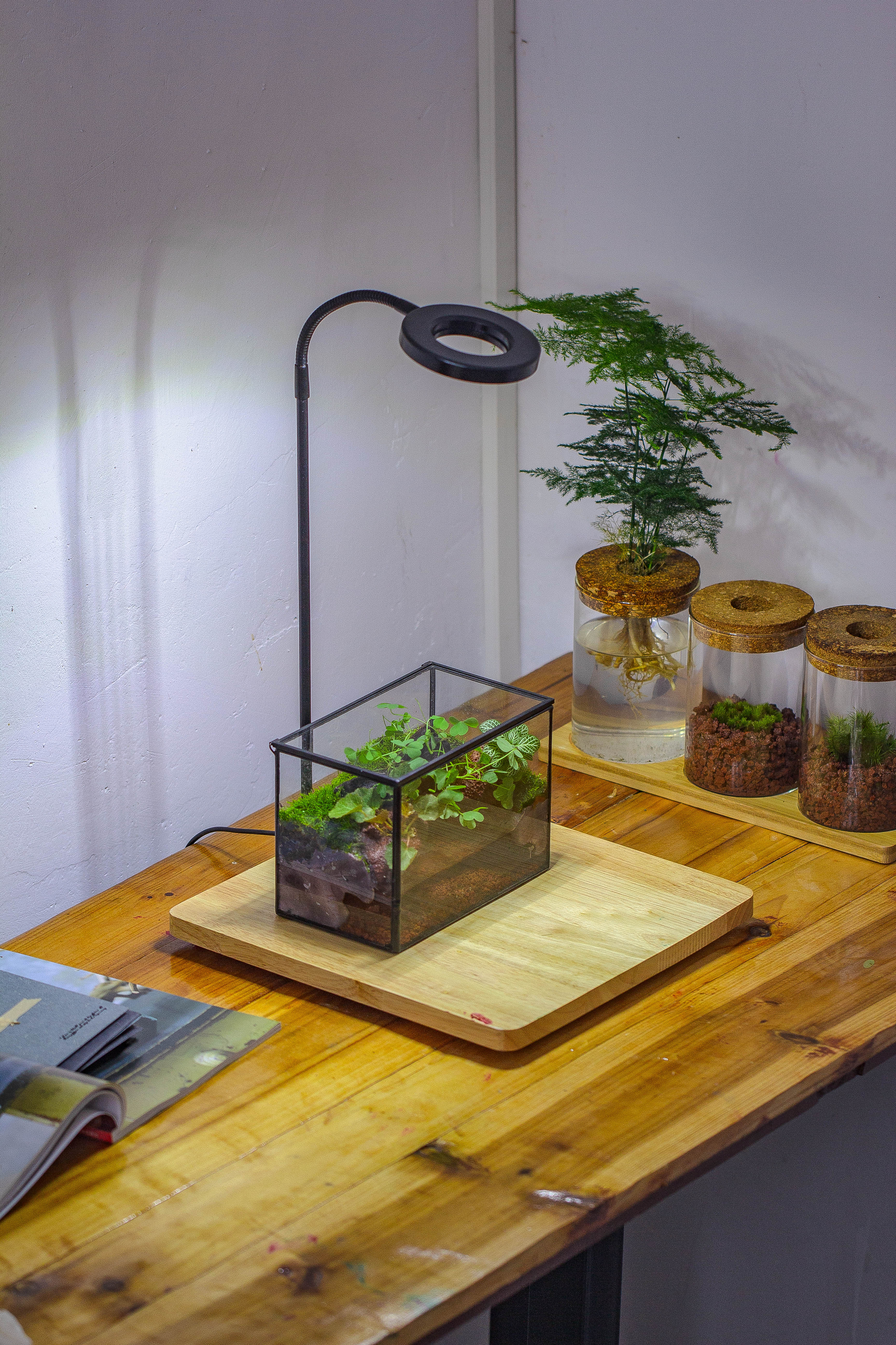 NCYP Watertight Close Small Rectangle Geometric Glass Tin Terrarium, for small waterpond, moss landscape, Live Miniature, water pond - NCYPgarden