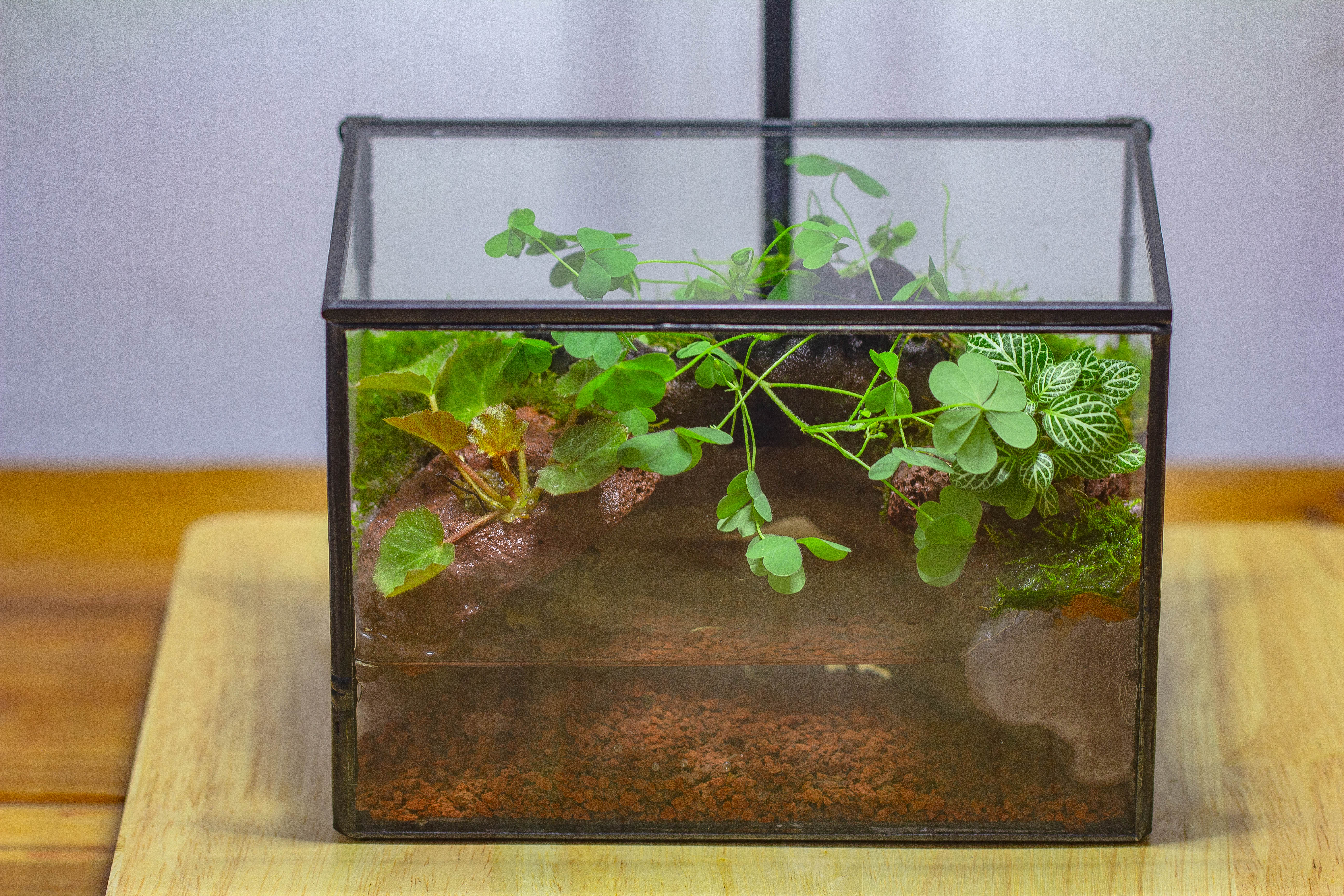 NCYP Watertight Close Small Rectangle Geometric Glass Tin Terrarium, for small waterpond, moss landscape, Live Miniature, water pond - NCYPgarden