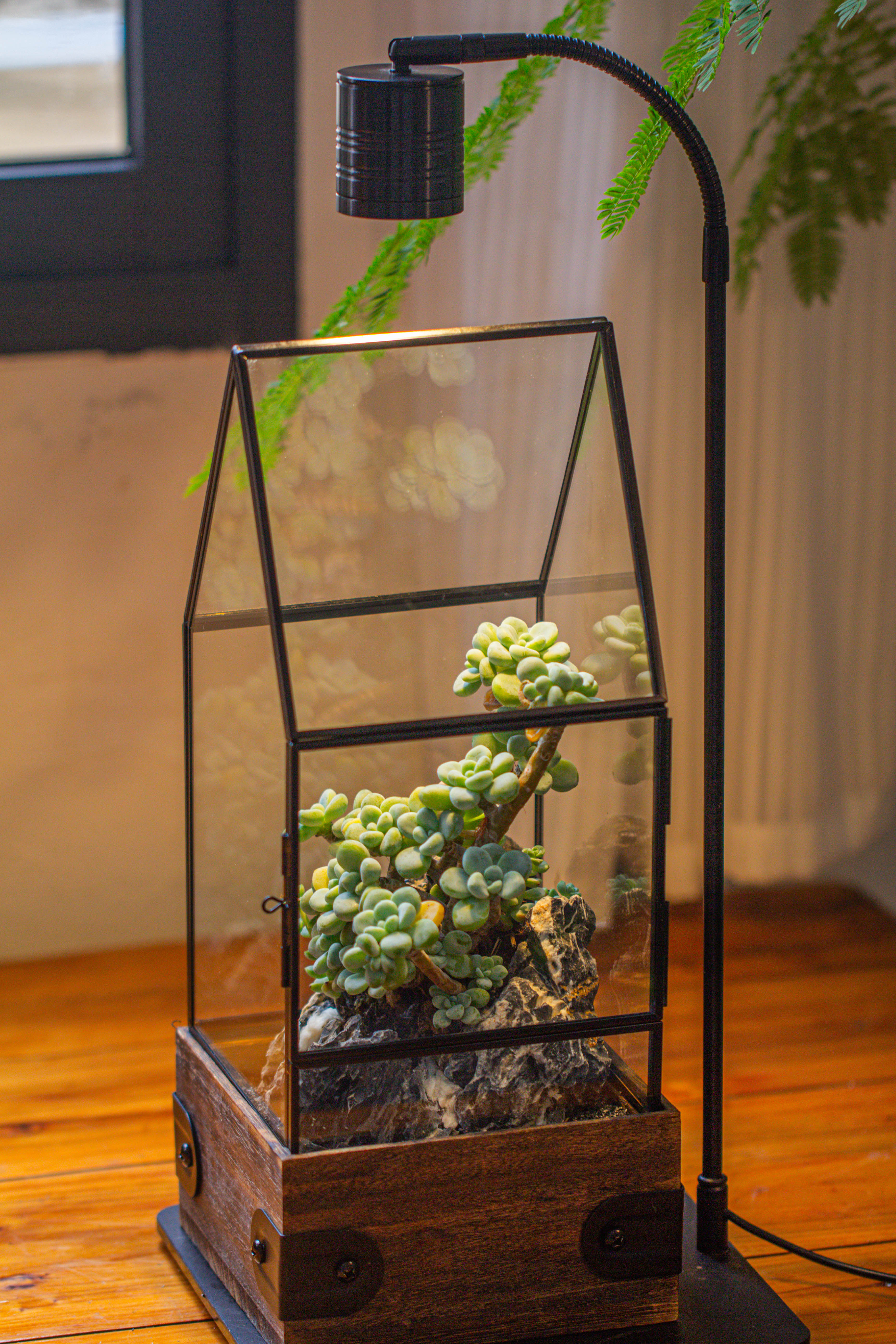 Handmade Glass Terrarium with Wood Base, House Shape Planter with Door, with LED Wood Lamp Base for Plants, Moss Landscapes, Plant Lover Gift - NCYPgarden