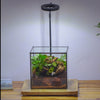 NCYP Watertight Close Cube 7" Geometric Glass Tin Terrarium, for small waterpond, moss landscape, Live Miniature, water pond, landscape - NCYPgarden