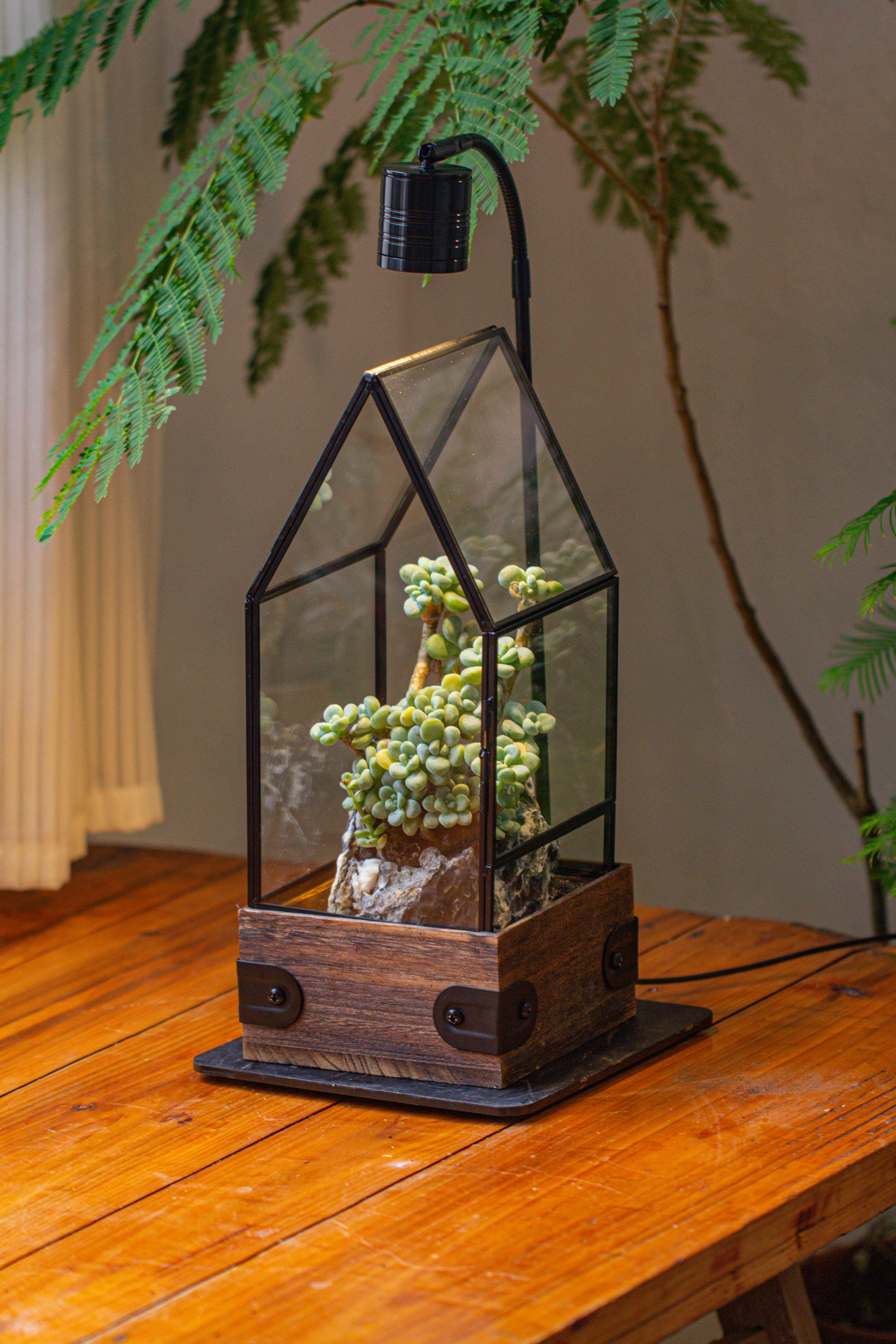 Handmade Glass Terrarium with Wood Base, House Shape Planter with Door, with LED Wood Lamp Base for Plants, Moss Landscapes, Plant Lover Gift - NCYPgarden