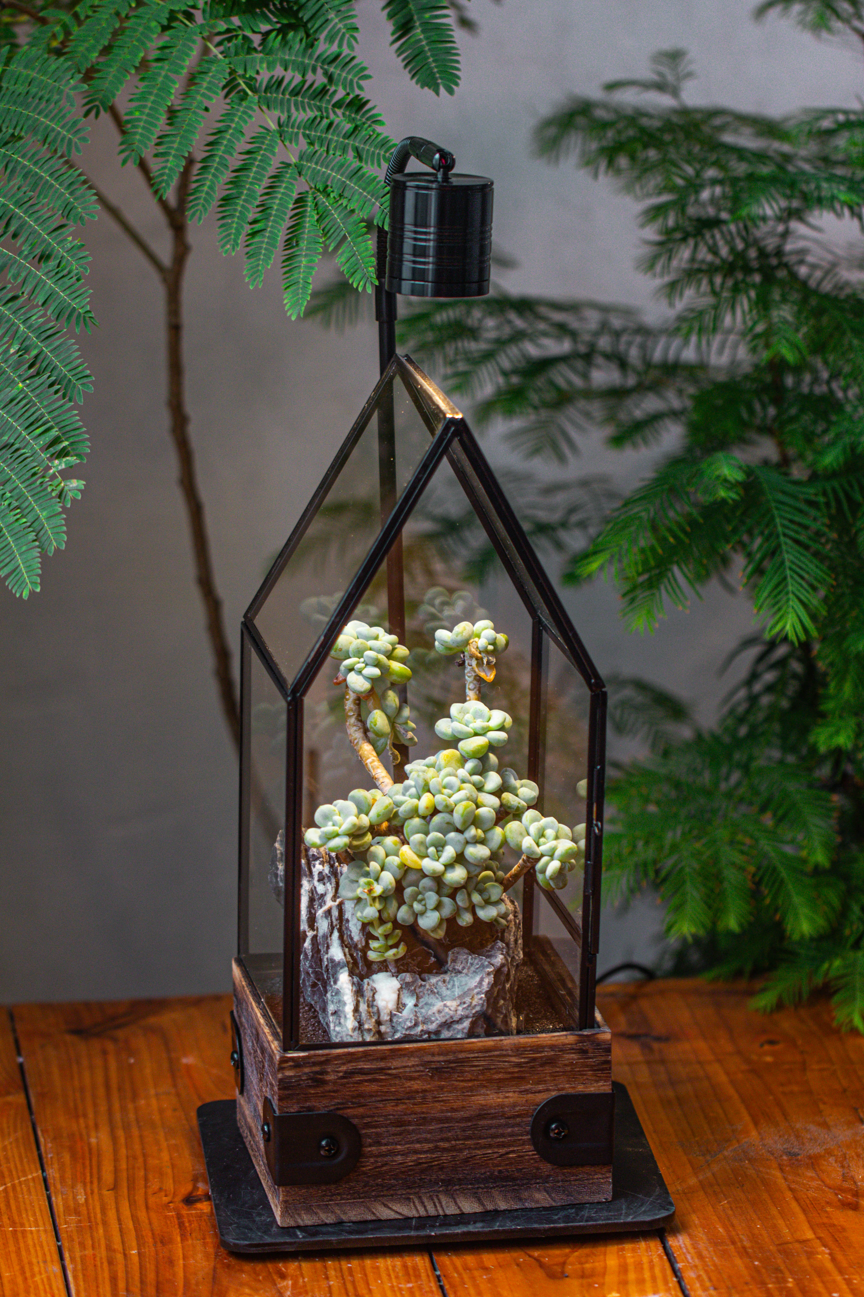 Handmade Glass Terrarium with Wood Base, House Shape Planter with Door, with LED Wood Lamp Base for Plants, Moss Landscapes, Plant Lover Gift - NCYPgarden