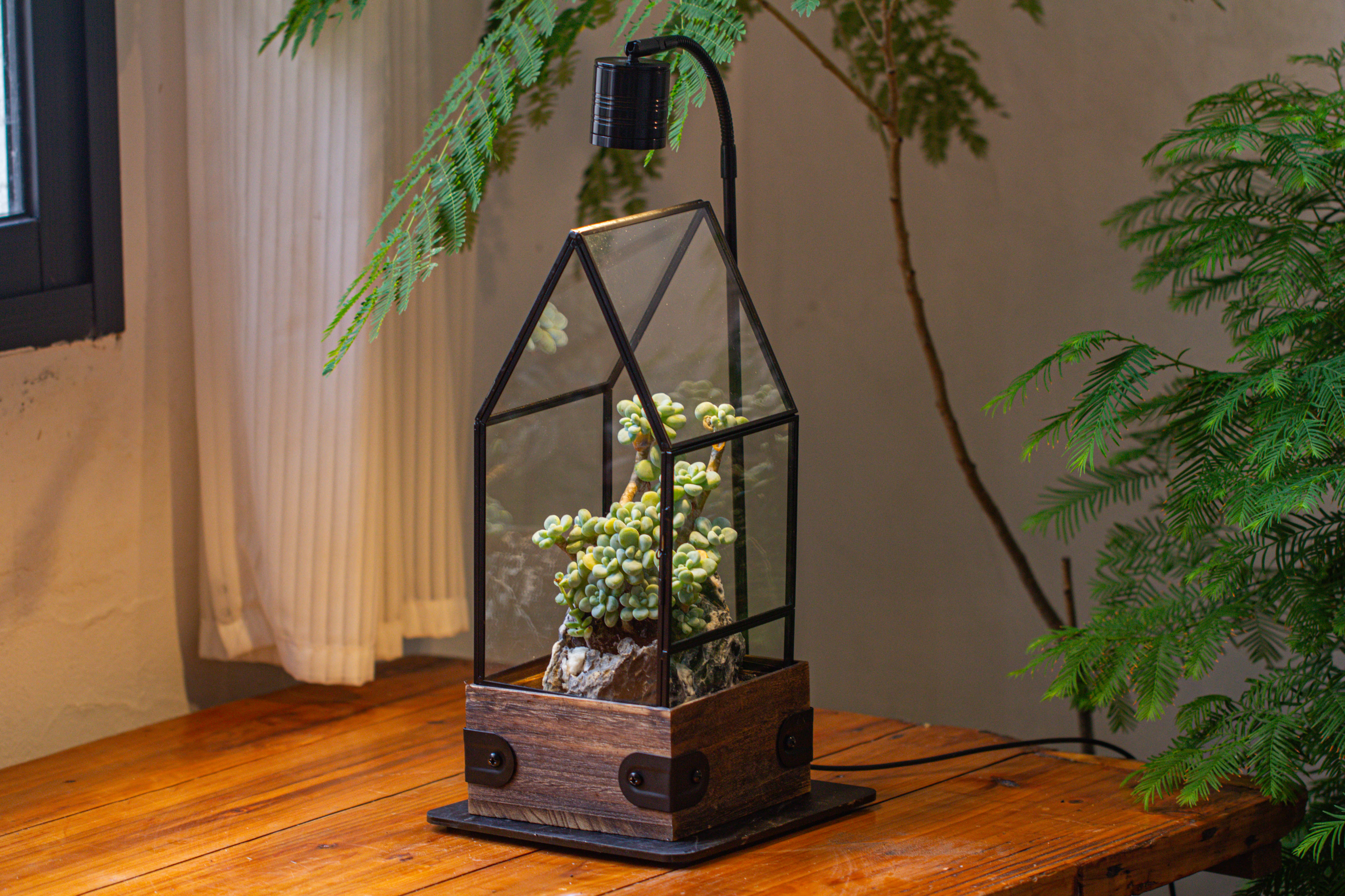 Handmade Glass Terrarium with Wood Base, House Shape Planter with Door, with LED Wood Lamp Base for Plants, Moss Landscapes, Plant Lover Gift - NCYPgarden