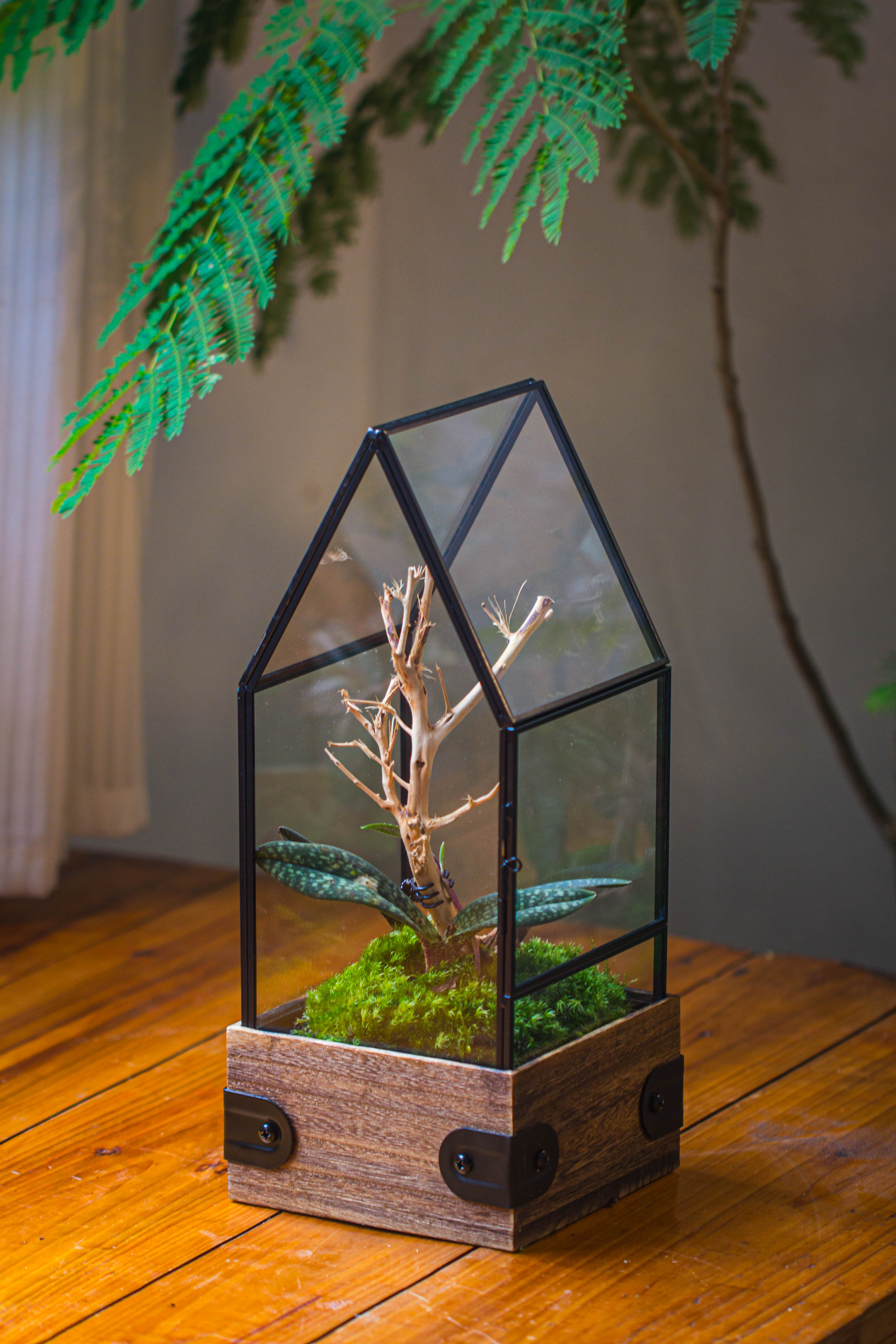 Handmade Glass Terrarium with Wood Base, House Shape Planter with Door, with LED Wood Lamp Base for Plants, Moss Landscapes, Plant Lover Gift - NCYPgarden