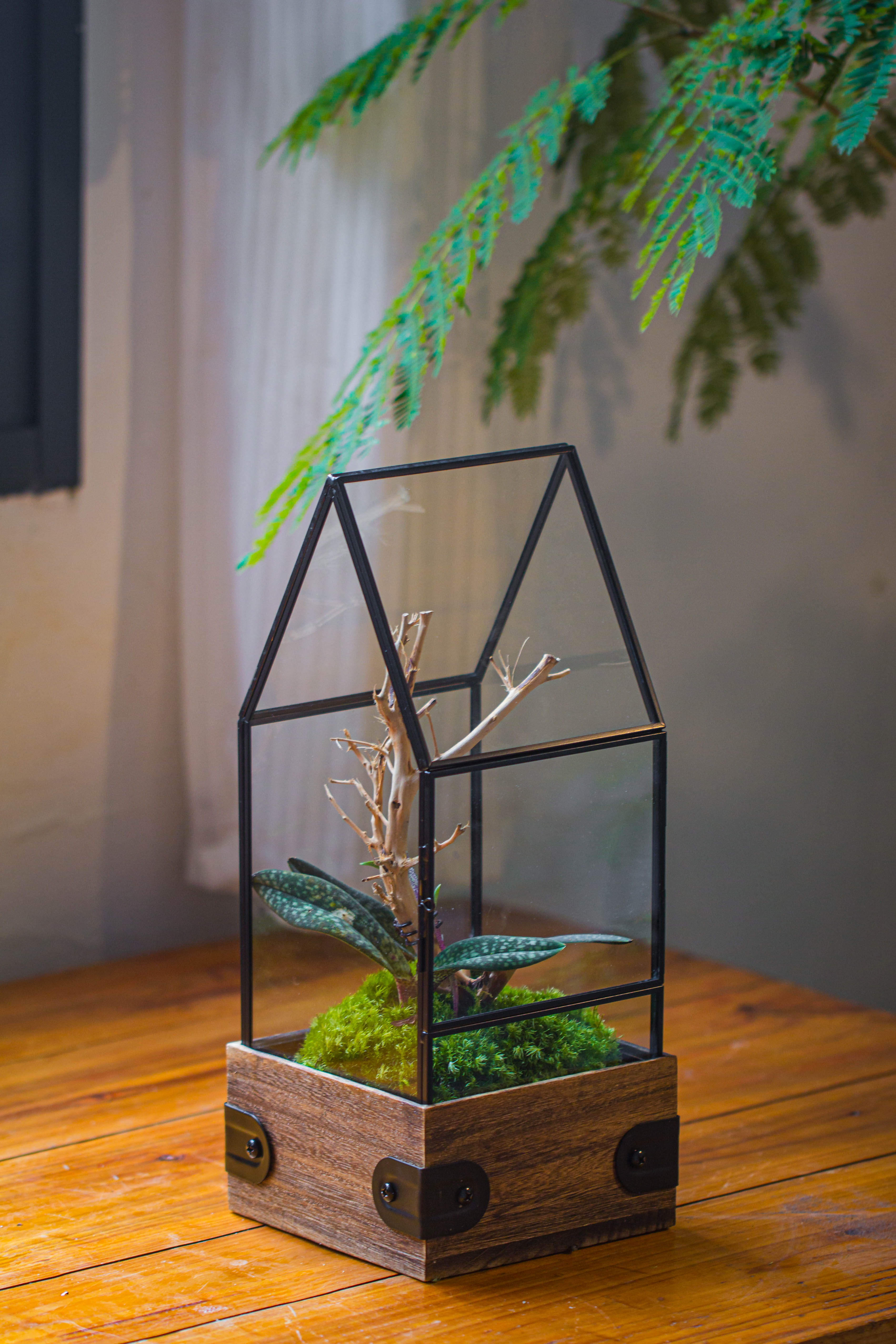 Handmade Glass Terrarium with Wood Base, House Shape Planter with Door, with LED Wood Lamp Base for Plants, Moss Landscapes, Plant Lover Gift - NCYPgarden