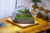 Irregular geometric rock shape glass and tin terrarium, for moss - NCYPgarden