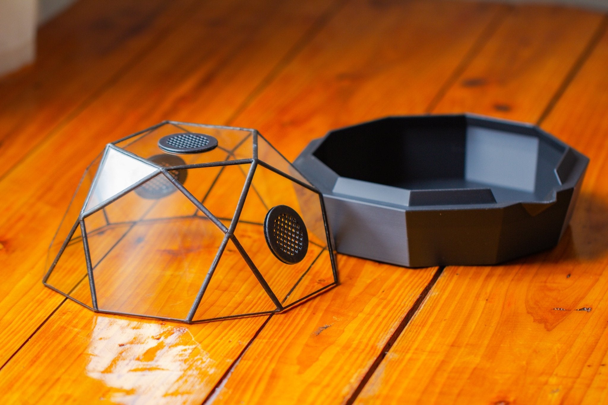 Dome Geometric Glass Terrarium, Vented, Two - part, for Moss Beginners PG08S2 - NCYPgarden