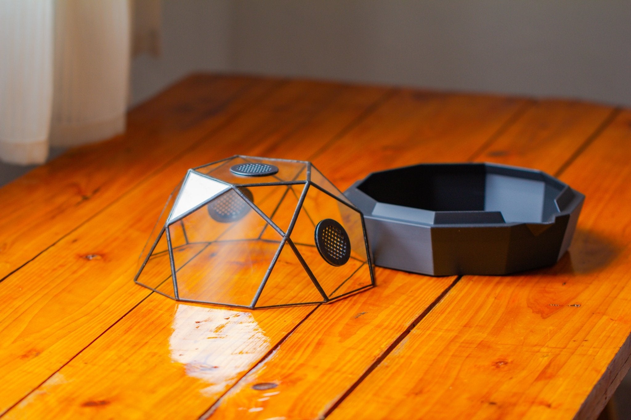 Dome Geometric Glass Terrarium, Vented, Two - part, for Moss Beginners PG08S2 - NCYPgarden