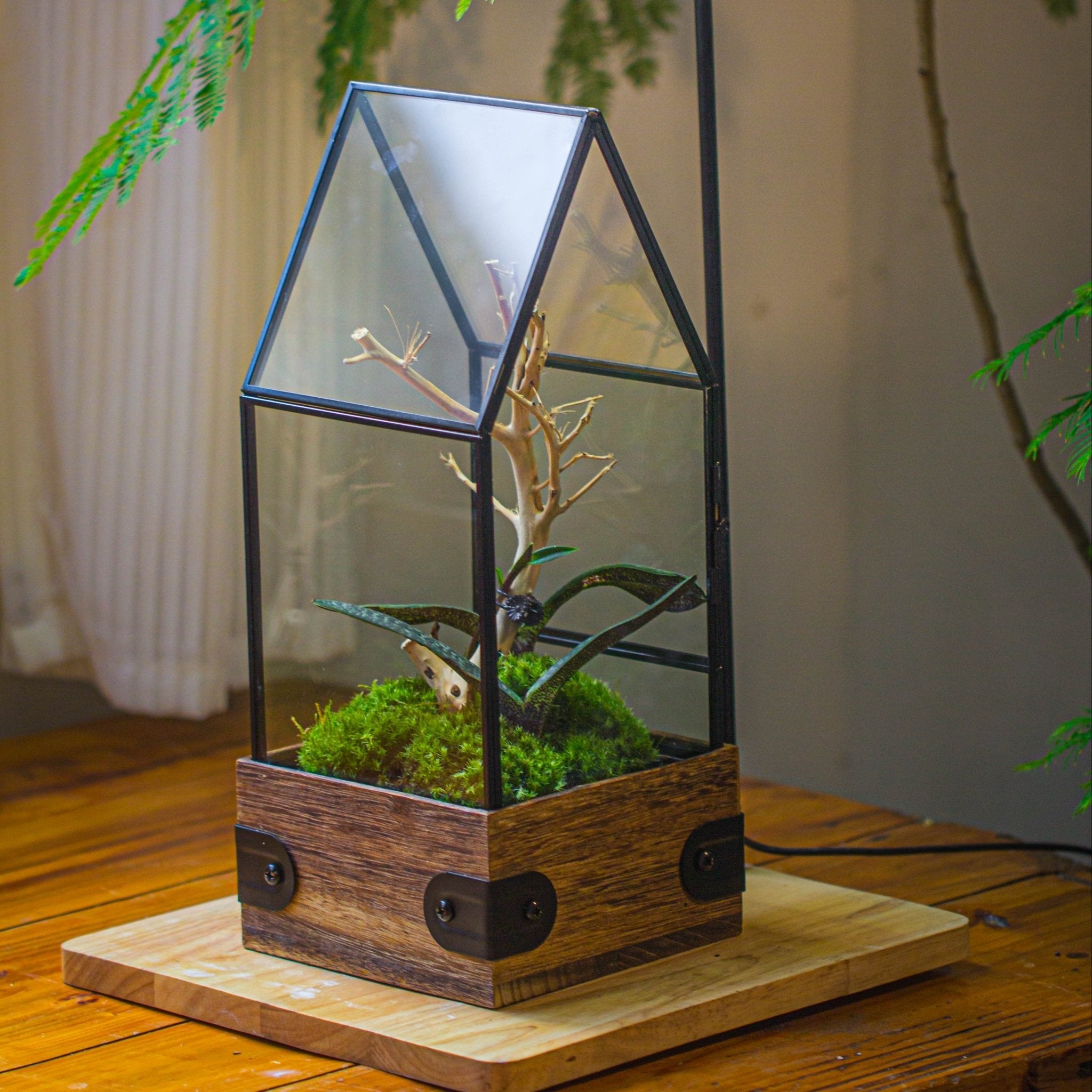 indoor plant glass house Handmade Glass Terrarium with Wood Base, House Shape Planter with Door, with LED Wood Lamp Base for Plants, Moss Landscapes, Plant Lover Gift