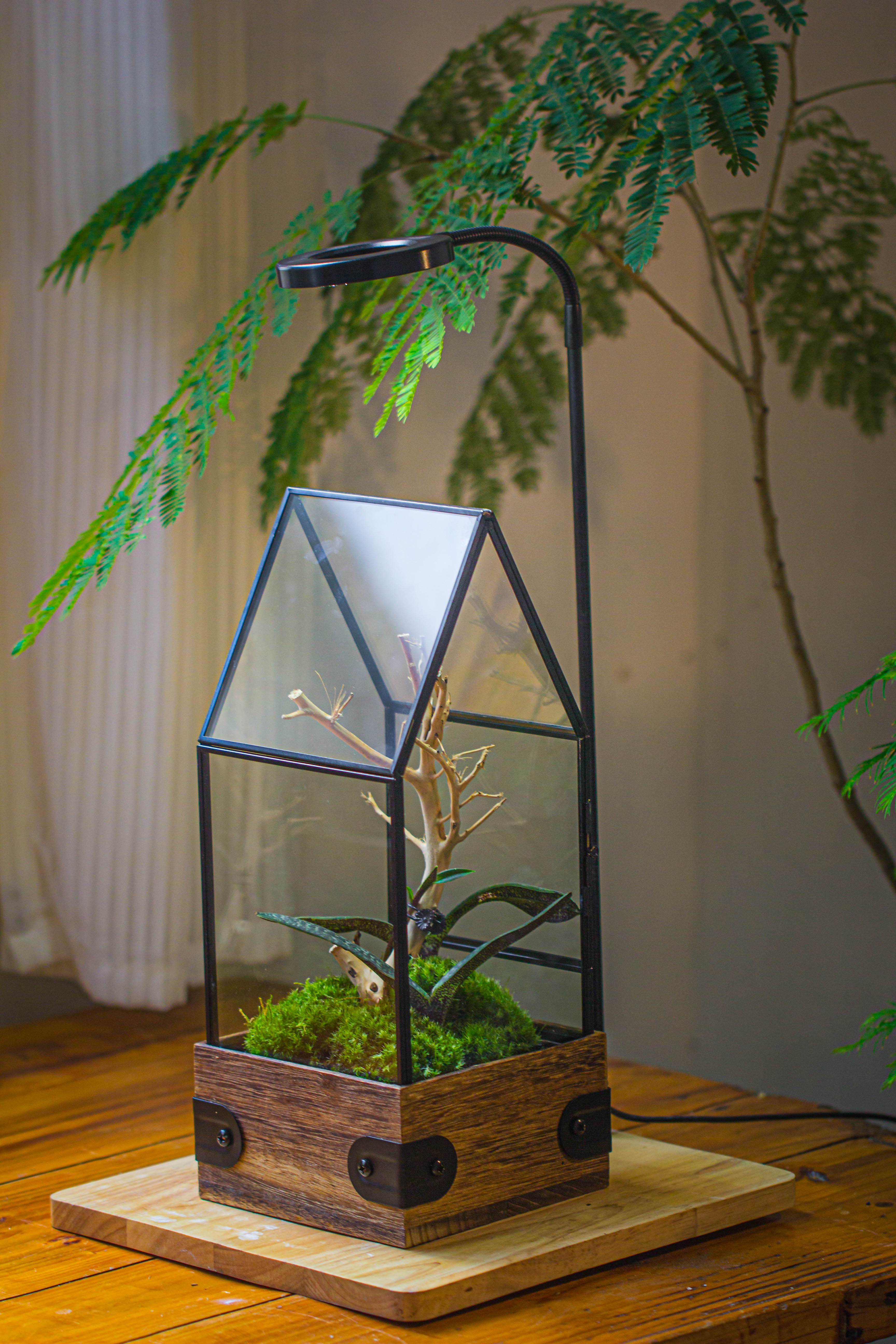 Handmade Glass Terrarium with Wood Base, House Shape Planter with Door, with LED Wood Lamp Base for Plants, Moss Landscapes, Plant Lover Gift - NCYPgarden