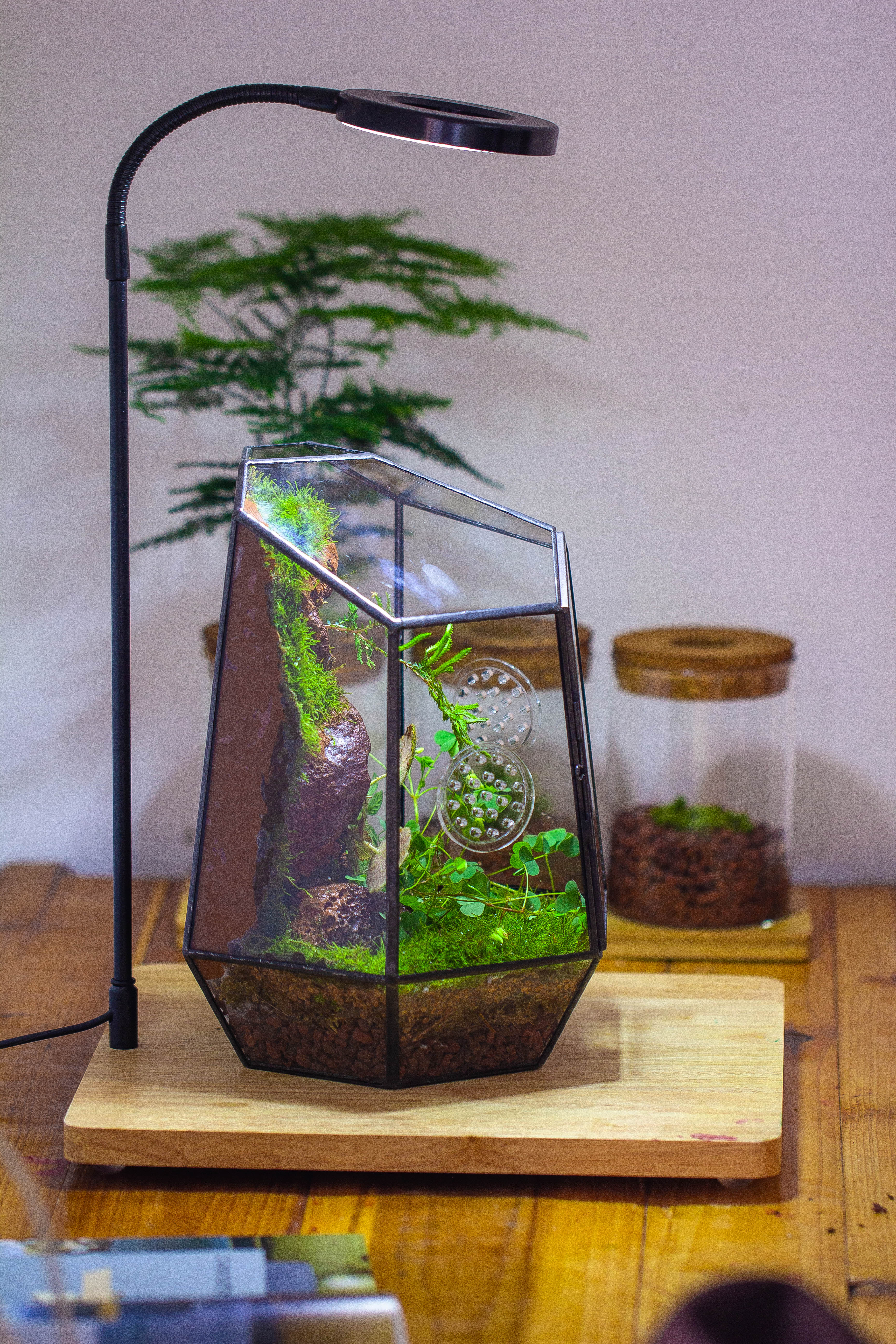 NCYP Close Geometric Glass Terrarium with Door, Tin Sealed Irregular Tall Planter Succulent Cacti Fern Flower Pot - NCYPgarden