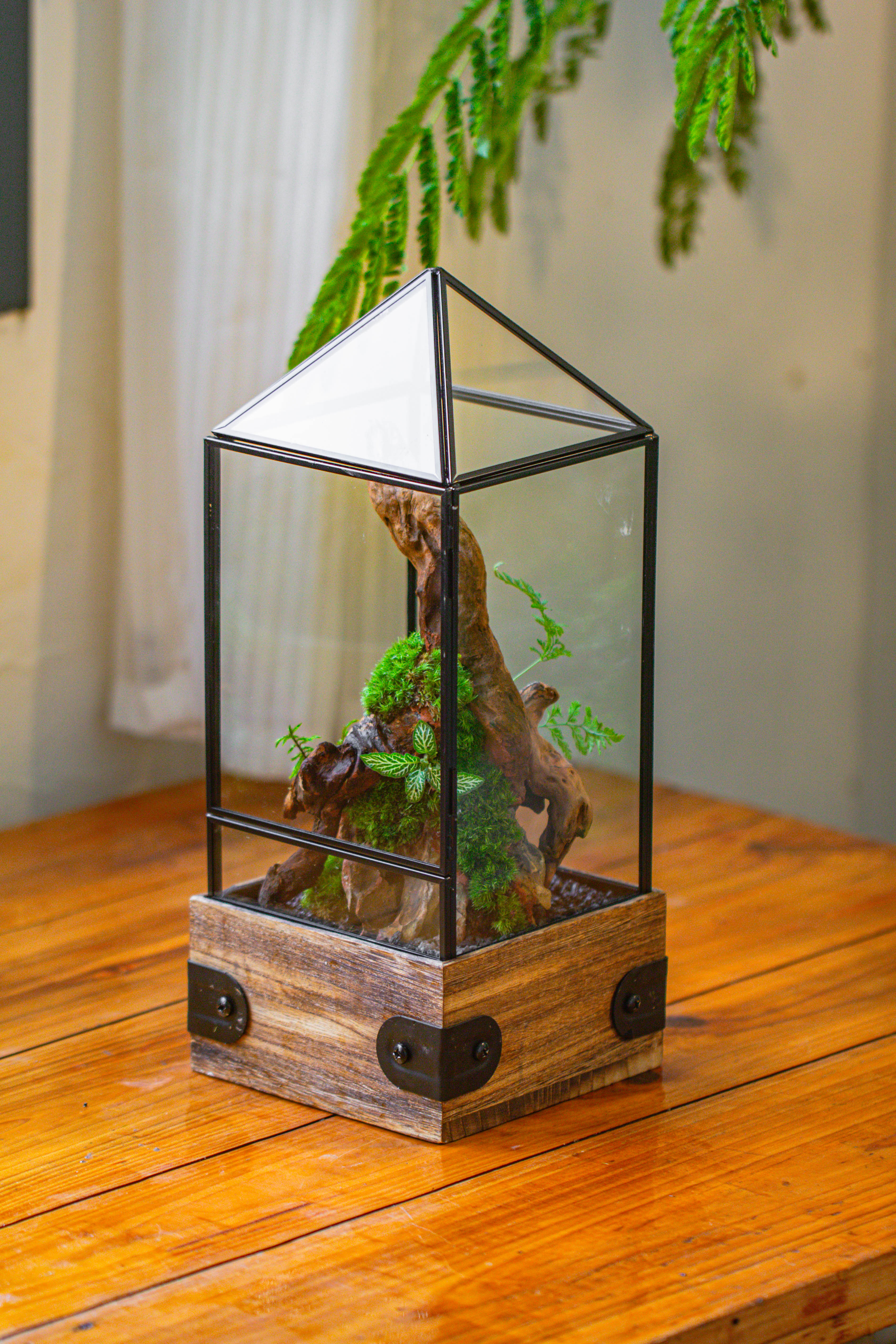 Handmade Glass Terrarium with Wood Base, Pyramid Shape Planter with Door, with LED Acrylic Lamp Base for Plants, Moss Landscapes, Plant Lover Gift - NCYPgarden