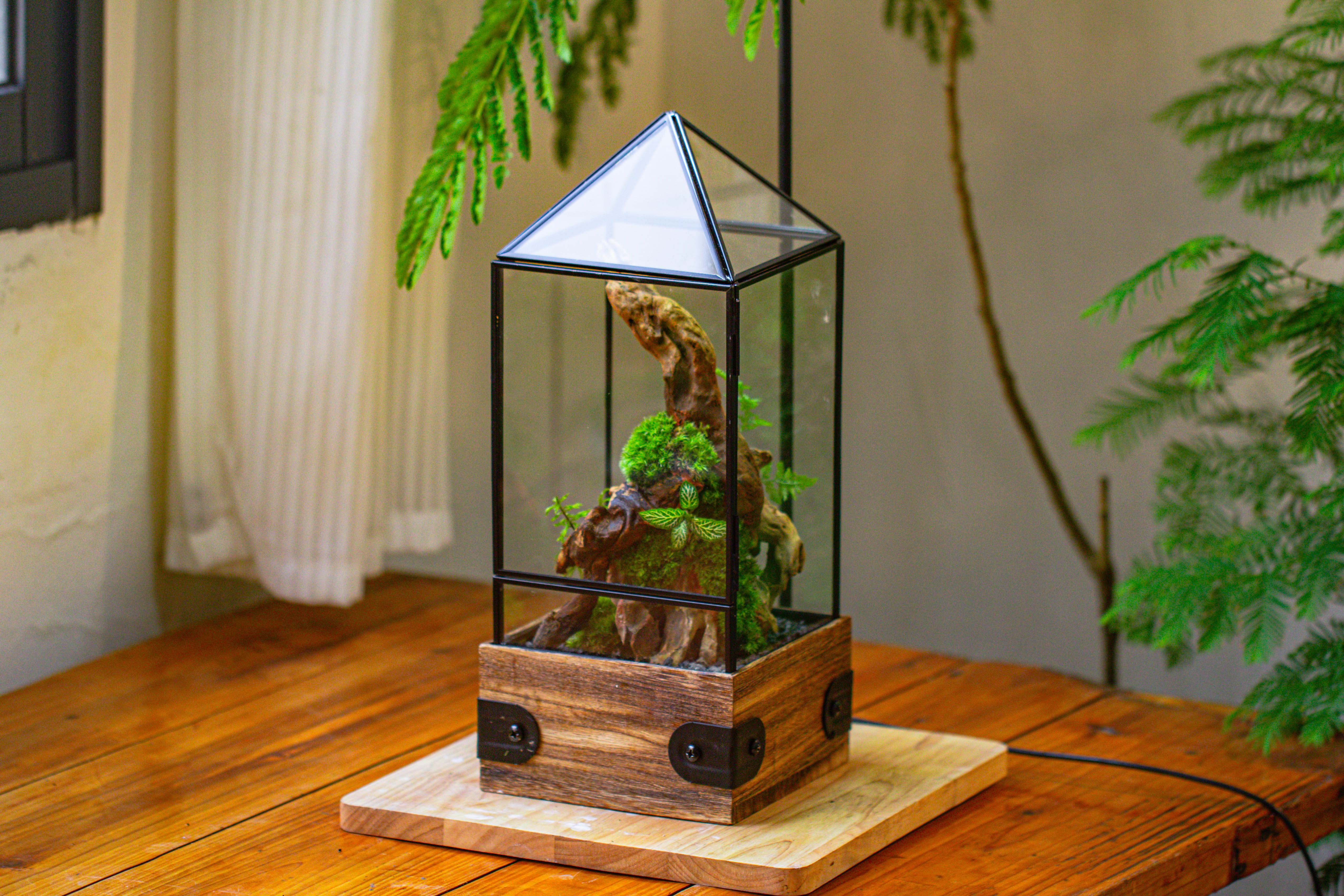 Handmade Glass Terrarium with Wood Base, Pyramid Shape Planter with Door, with LED Acrylic Lamp Base for Plants, Moss Landscapes, Plant Lover Gift - NCYPgarden
