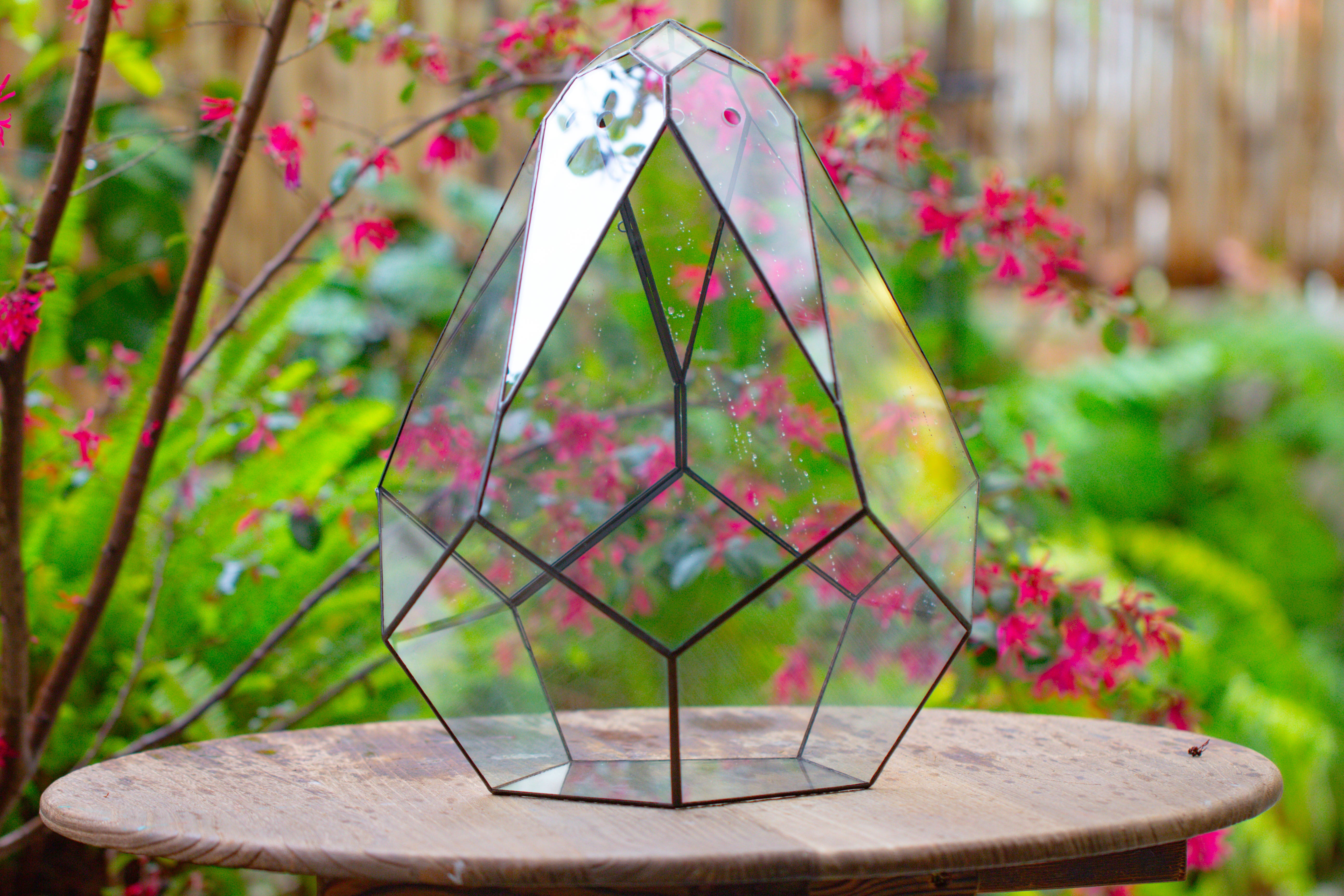 16" Large Teardrop Geometric Terrarium, close - NCYPgarden