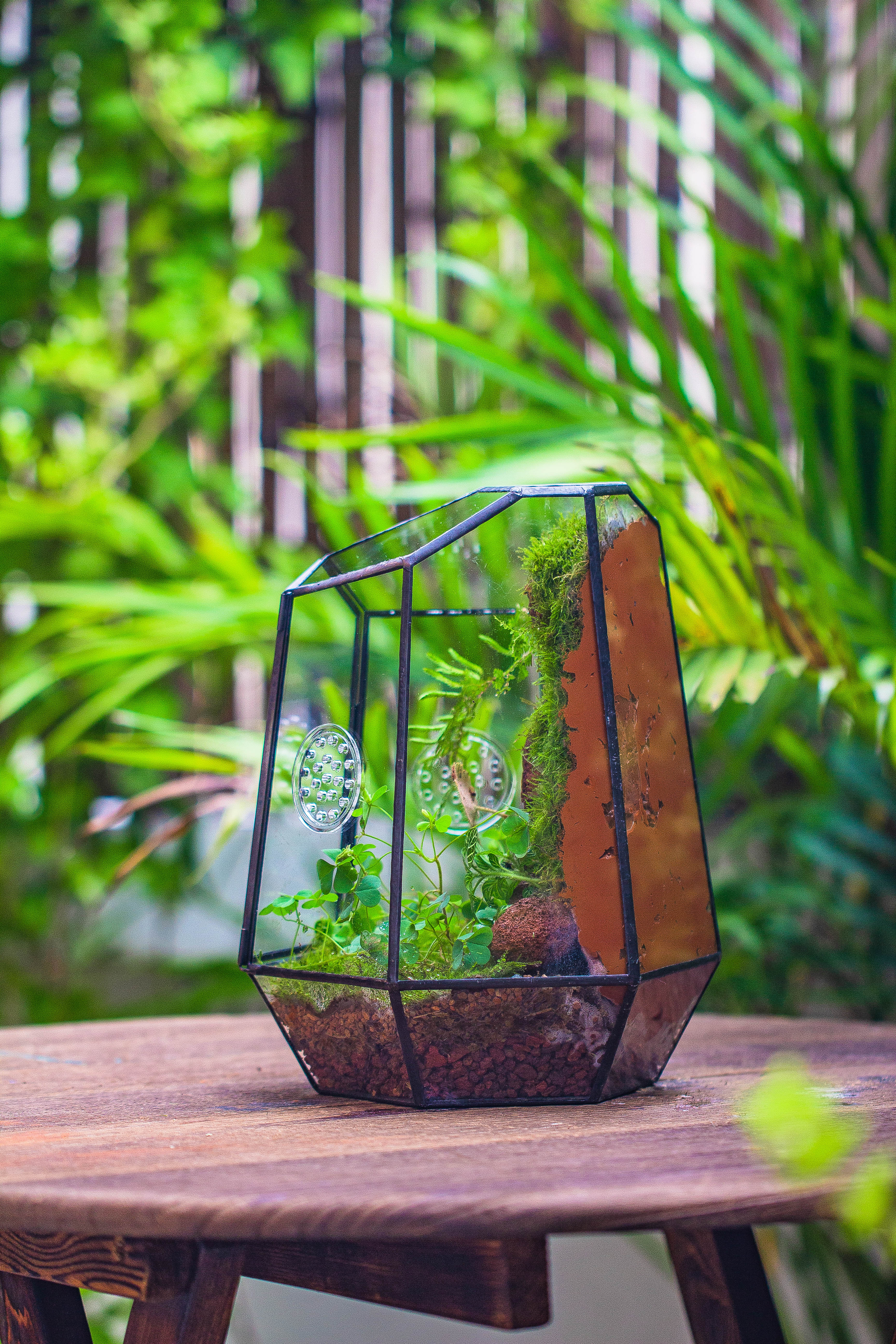 NCYP Close Geometric Glass Terrarium with Door, Tin Sealed Irregular Tall Planter Succulent Cacti Fern Flower Pot - NCYPgarden