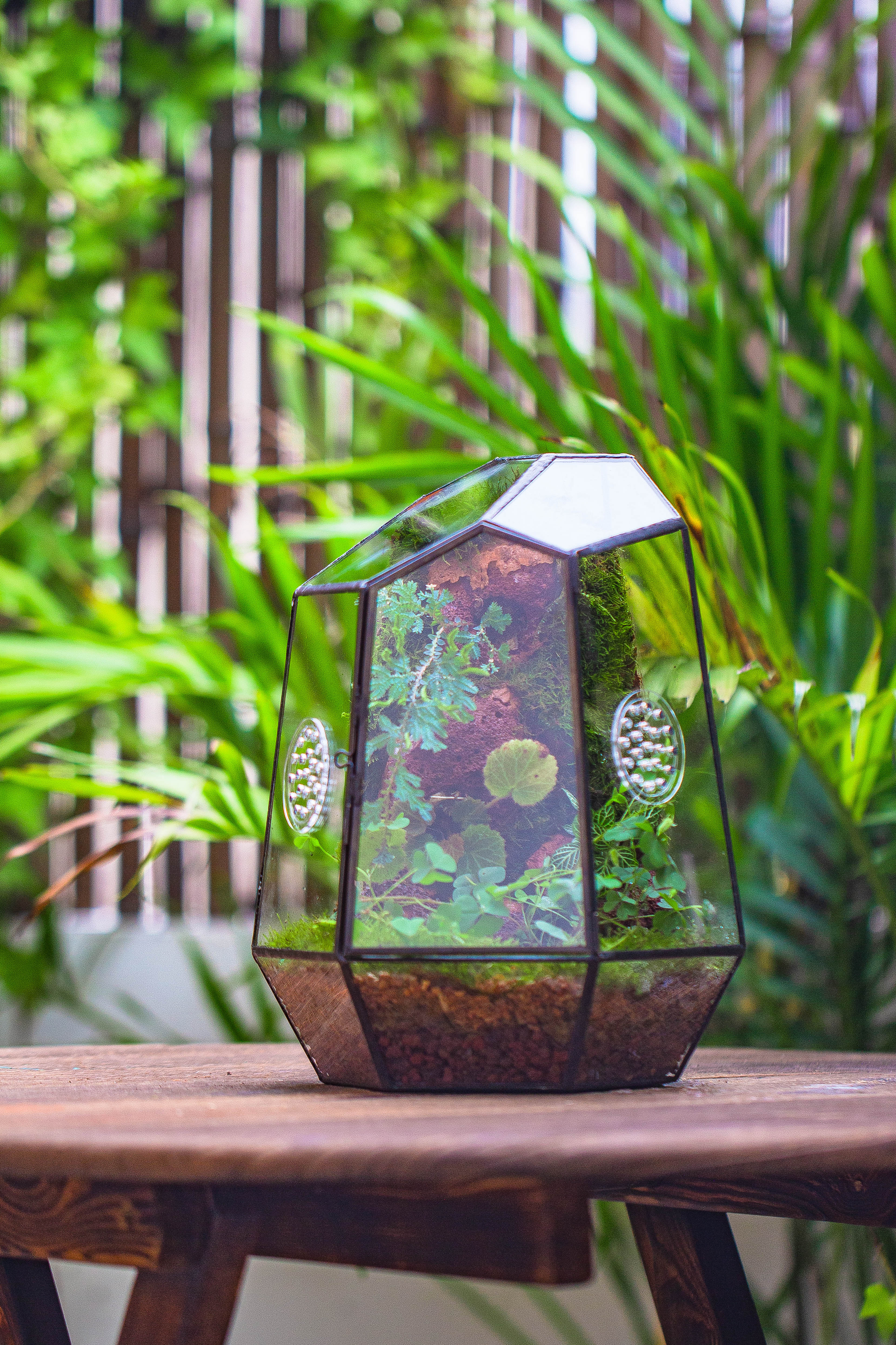 NCYP Close Geometric Glass Terrarium with Door, Tin Sealed Irregular Tall Planter Succulent Cacti Fern Flower Pot - NCYPgarden