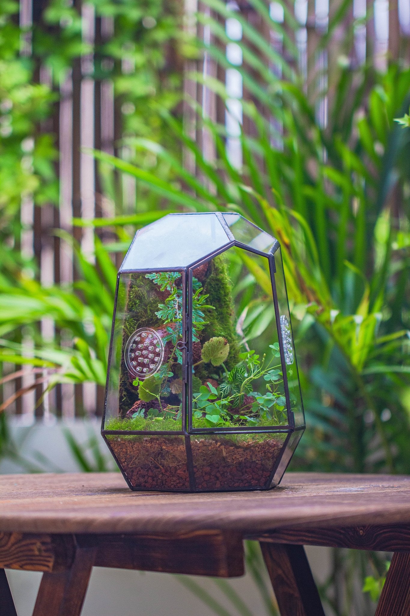 NCYP Close Geometric Tin Glass Terrarium with Door, Vent, Insect Bug T ...