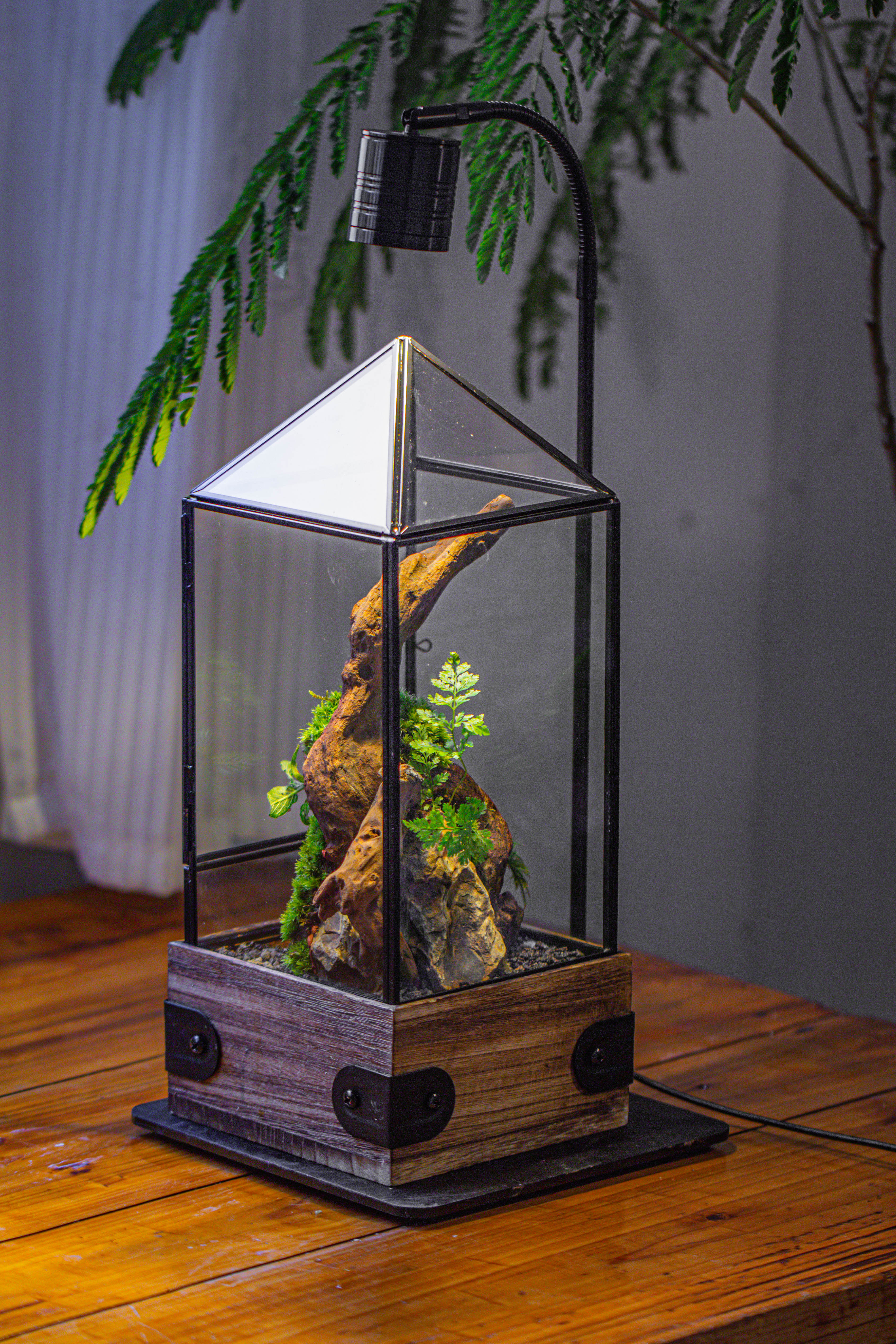 Handmade Glass Terrarium with Wood Base, Pyramid Shape Planter with Door, with LED Acrylic Lamp Base for Plants, Moss Landscapes, Plant Lover Gift - NCYPgarden