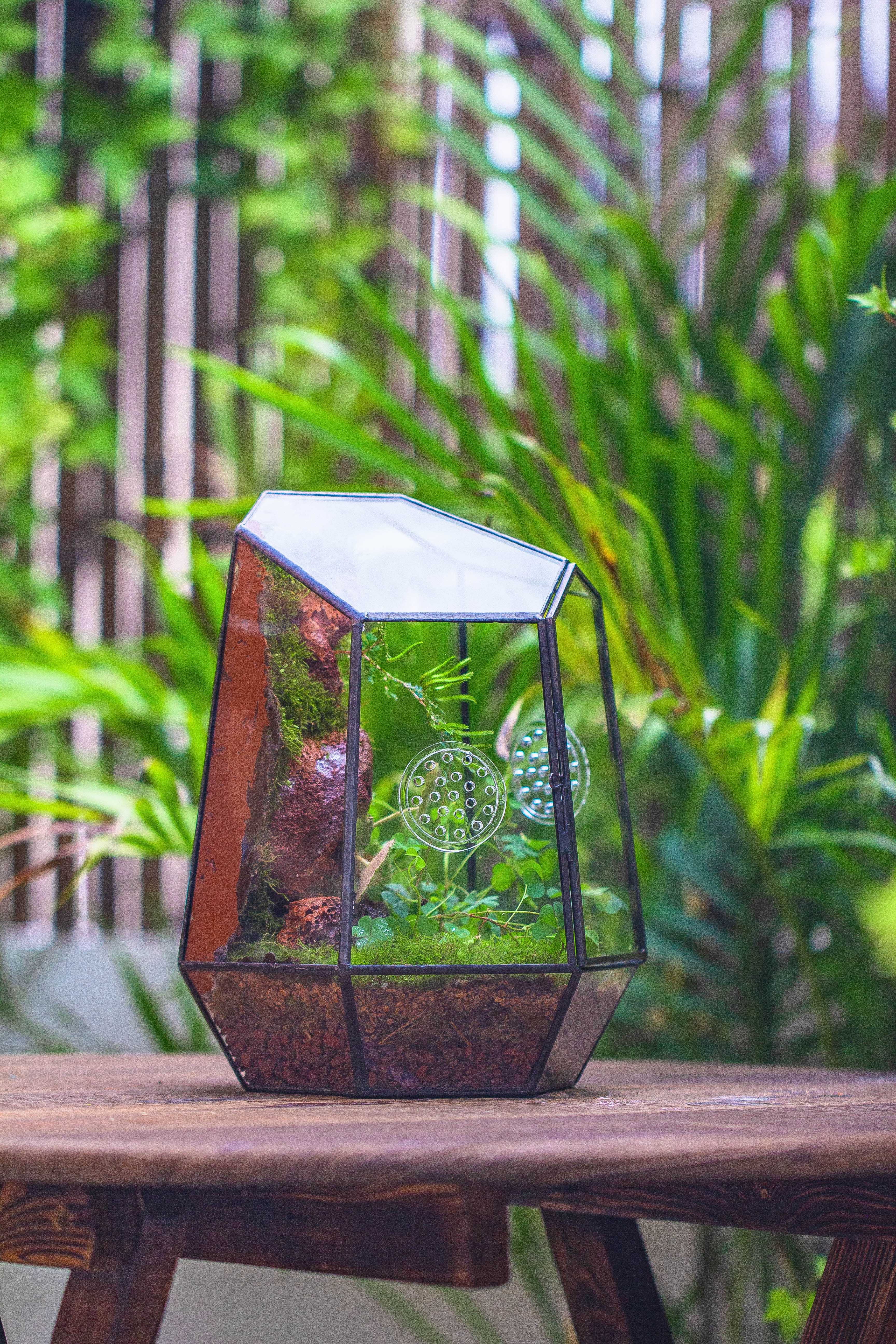 NCYP Close Geometric Glass Terrarium with Door, Tin Sealed Irregular Tall Planter Succulent Cacti Fern Flower Pot - NCYPgarden