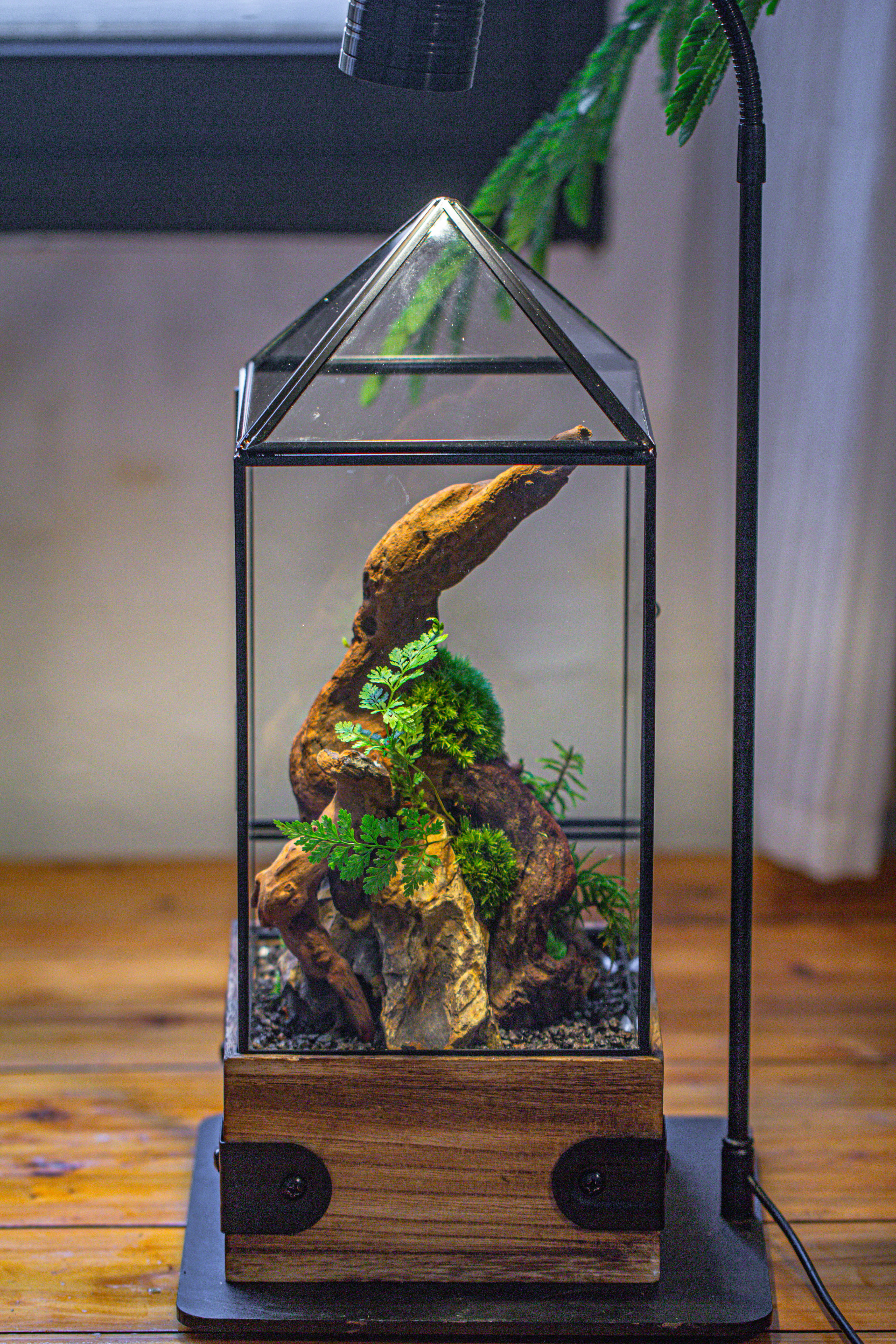 Handmade Glass Terrarium with Wood Base, Pyramid Shape Planter with Door, with LED Acrylic Lamp Base for Plants, Moss Landscapes, Plant Lover Gift - NCYPgarden