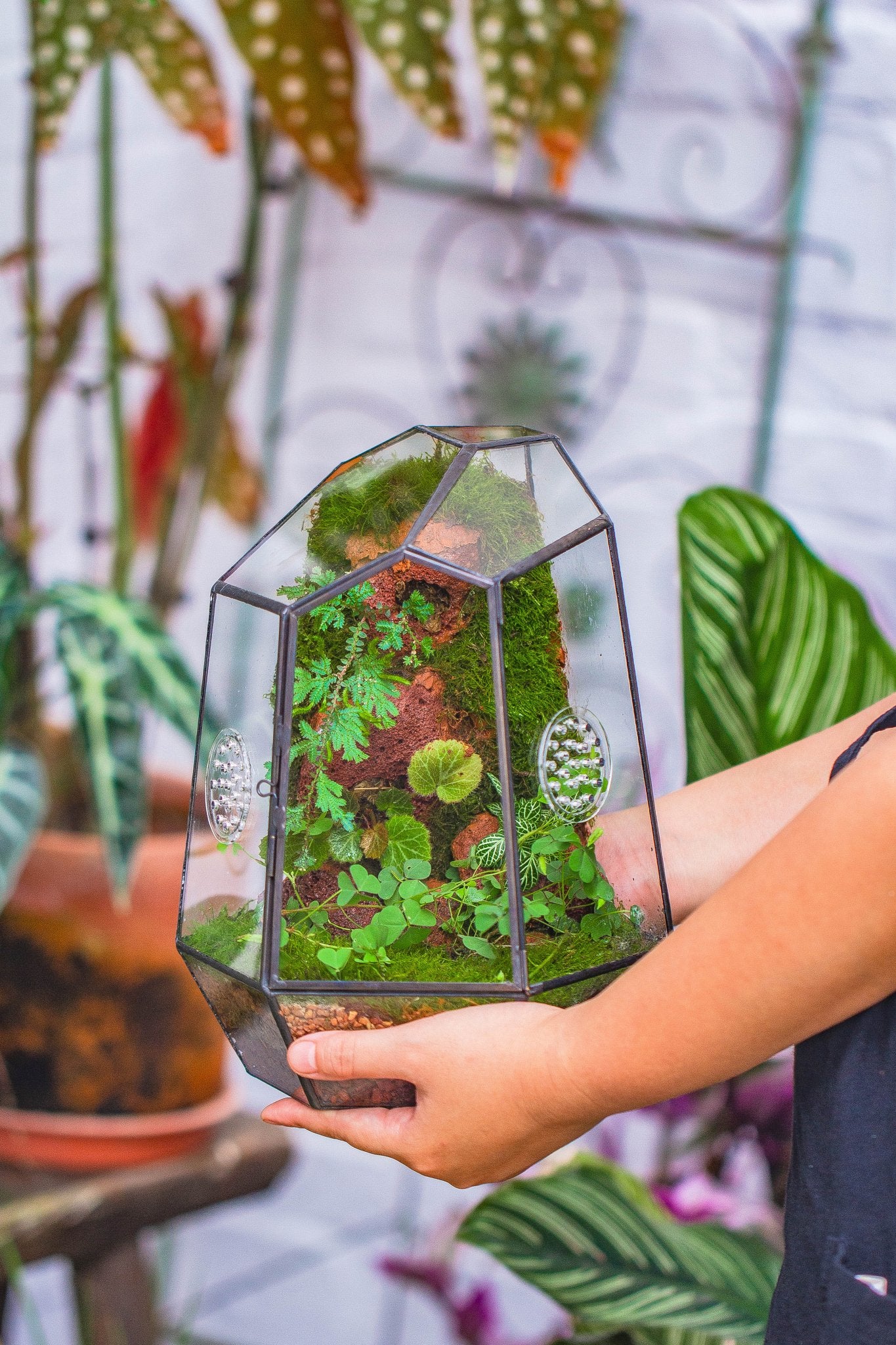 Closed Glass Terrarium - 10x10x30cm Geometric Planter For Succulents & Ferns