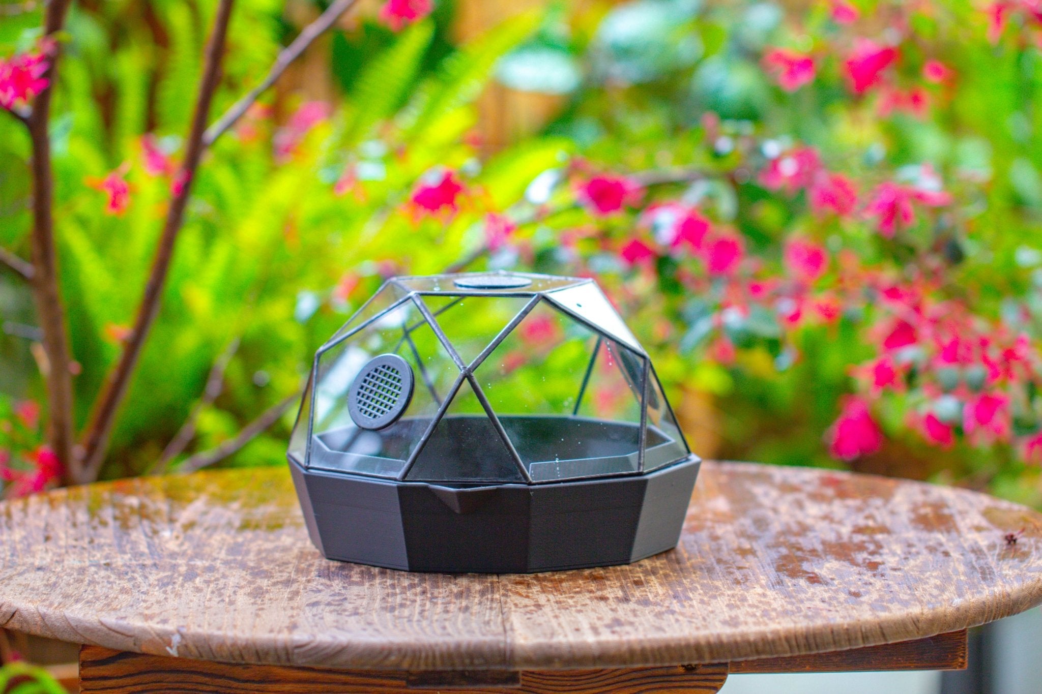 Dome Geometric Glass Terrarium, Vented, Two - part, for Moss Beginners PG08S2 - NCYPgarden